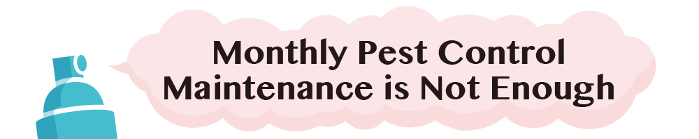 Monthly Pest control maintenance is not enough