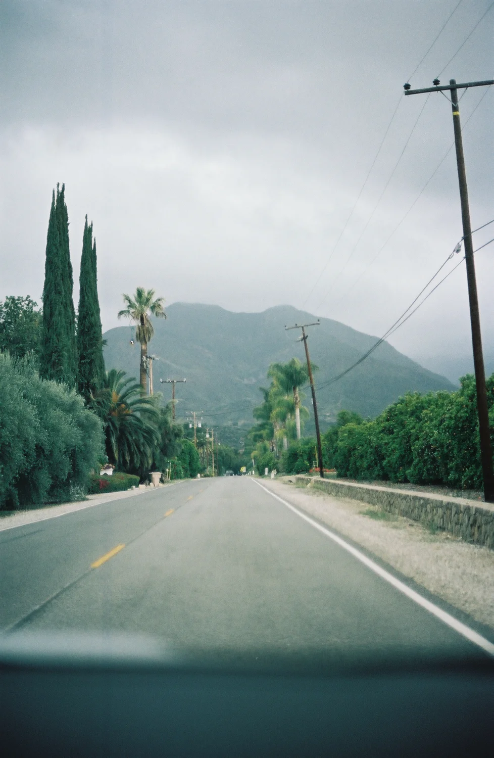 cali analoog-29.jpg