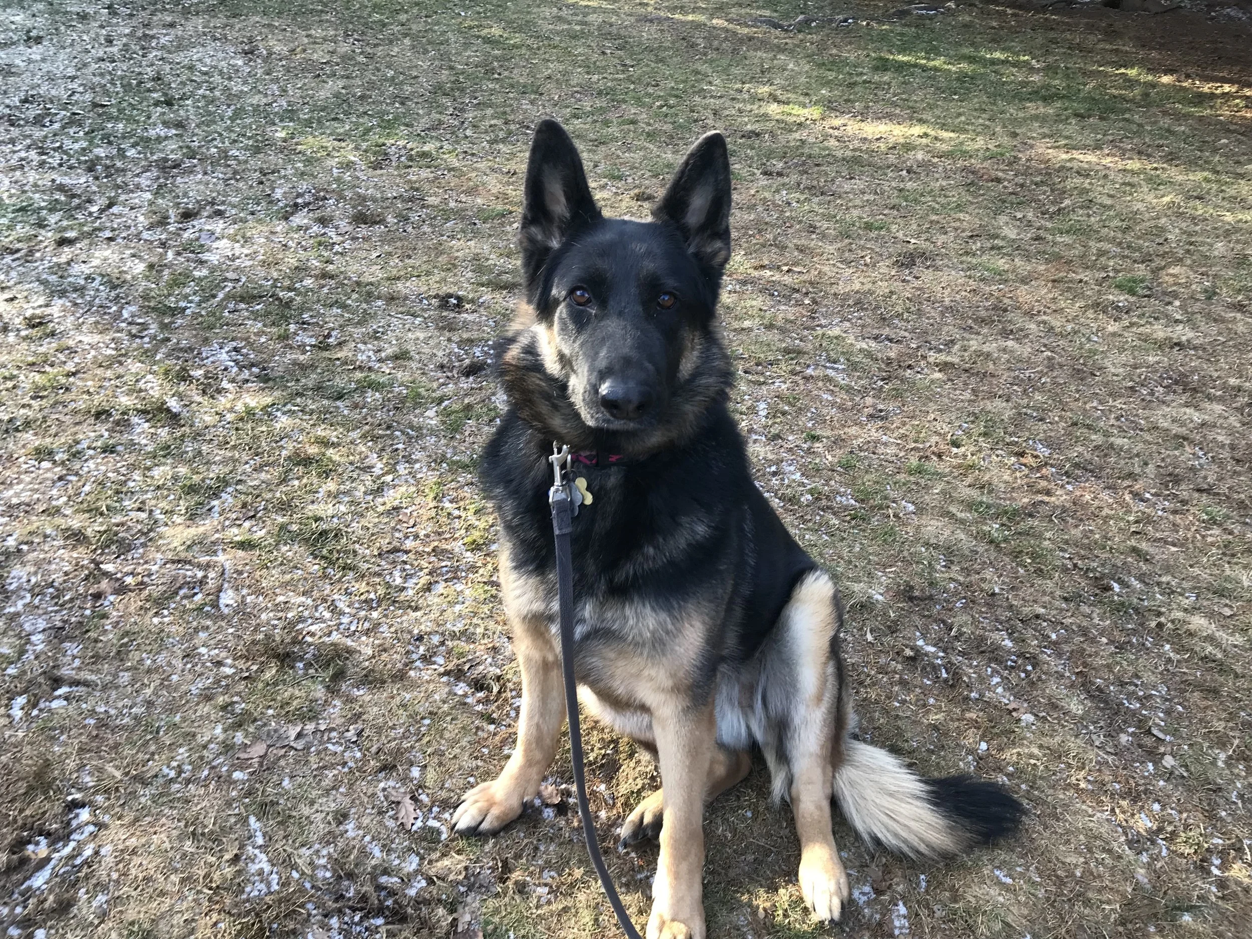 Kota