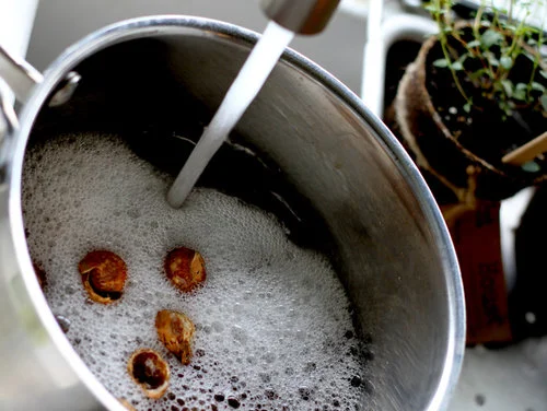 Tilføj 10 hele sæbebærs skaller (eller tilsvarende) pr. liter vand, for at lave sæbebærs grundsæben.