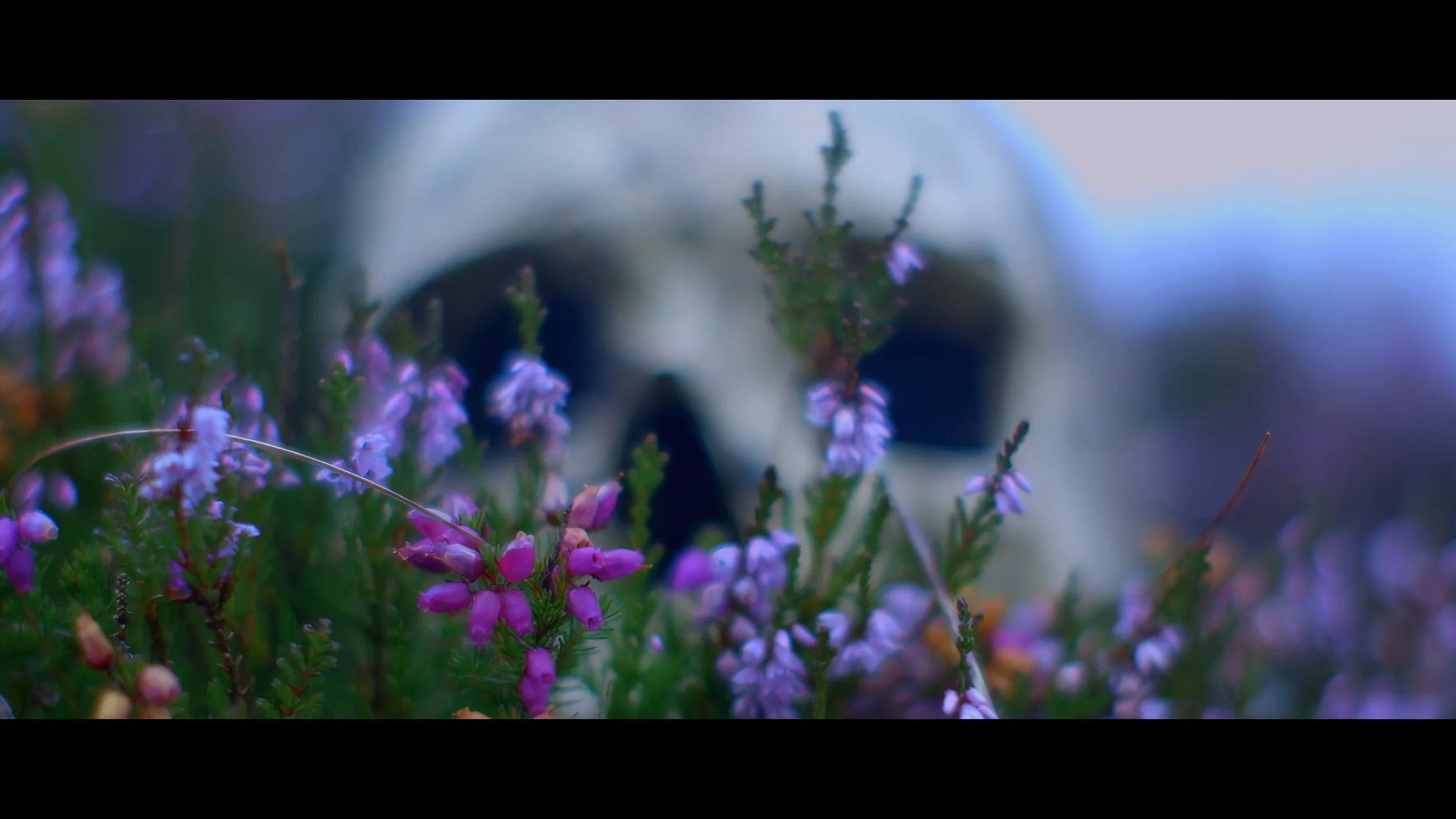 Still 2026-02-24 131822_1.1.1.jpg