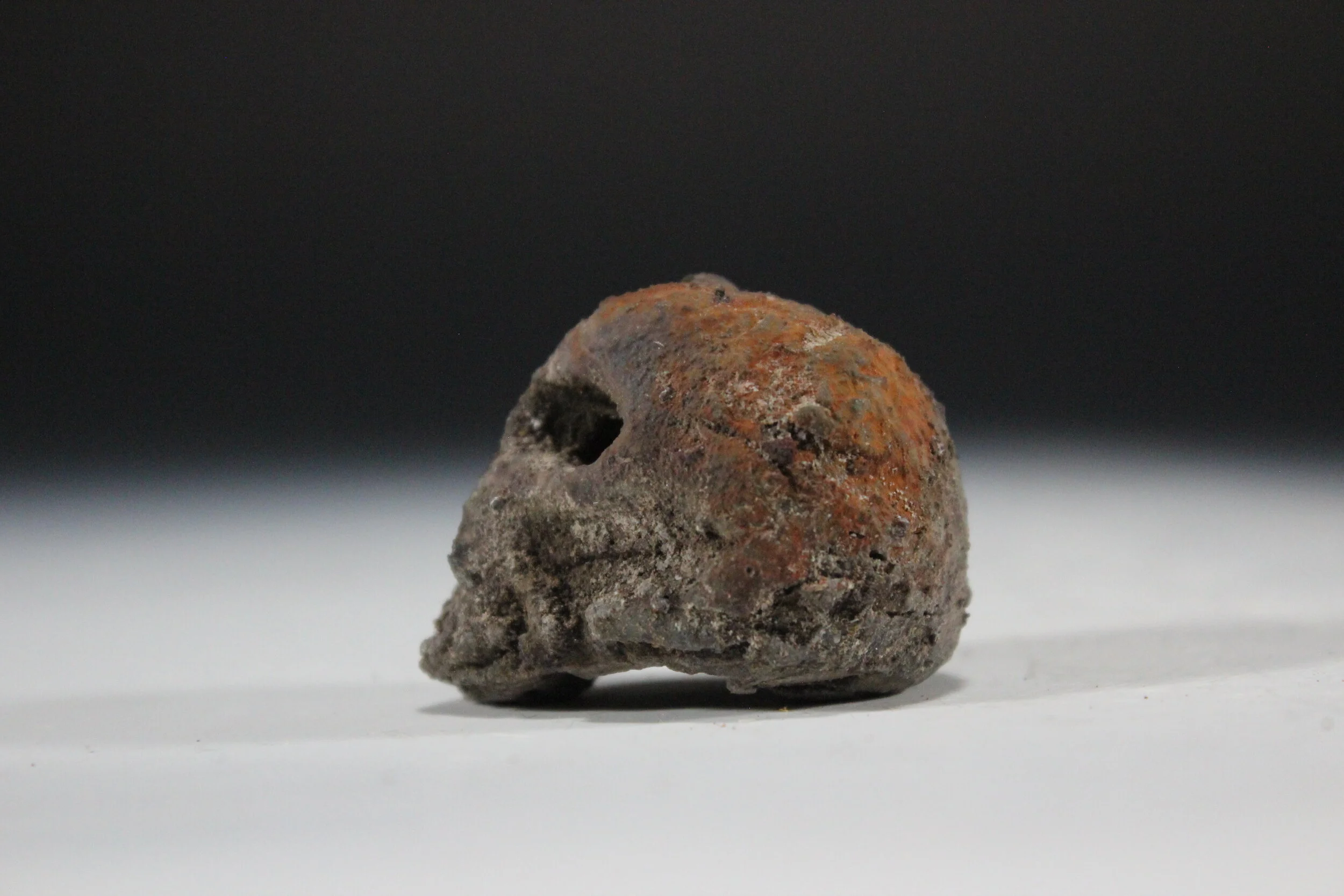 Lichen Skull