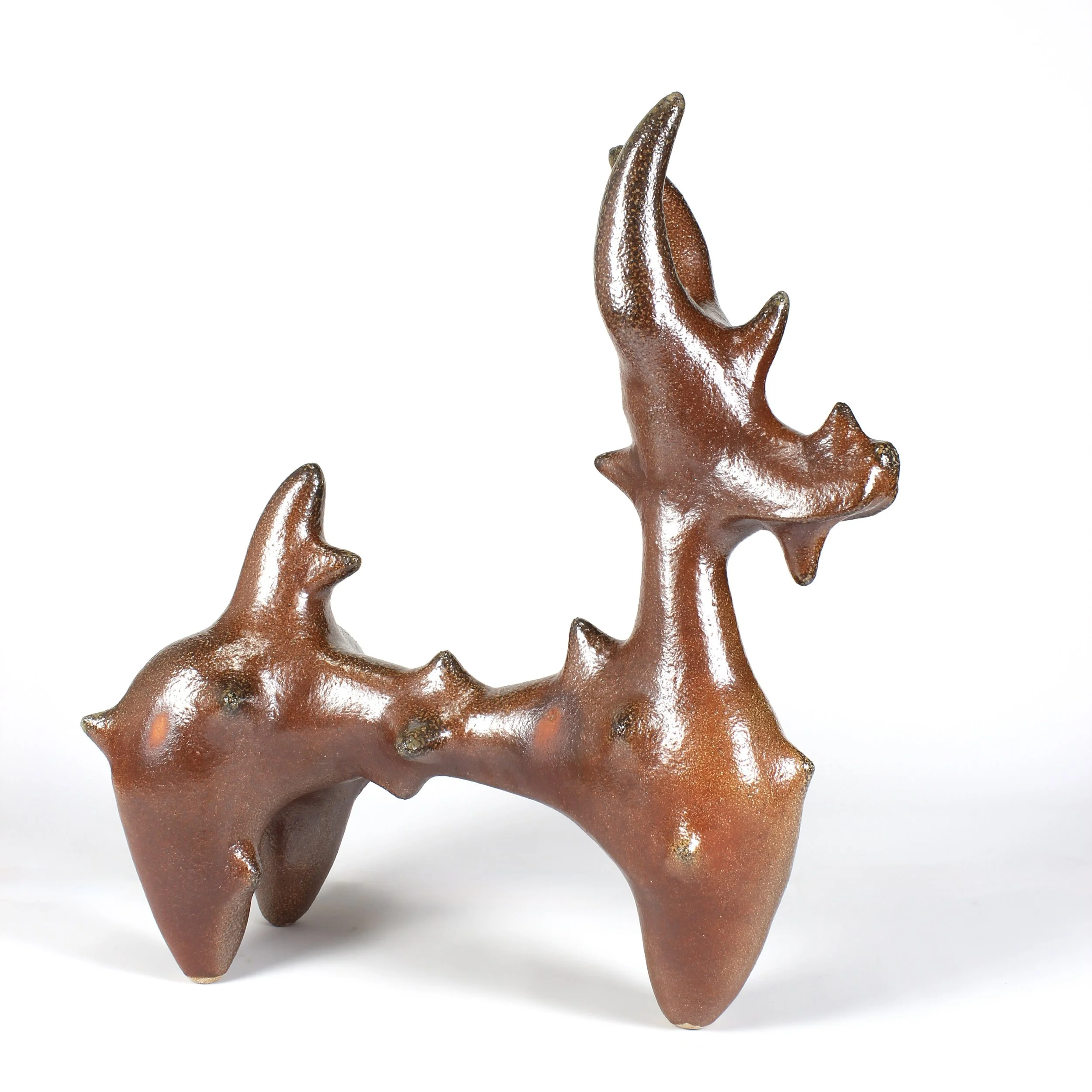 Black-Tipped Spikey Dog