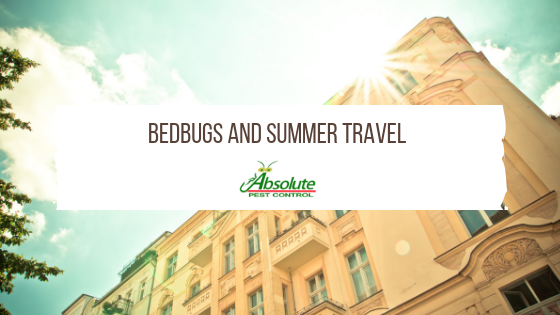 APC-Bedbugs-and-Summer-Travel.png