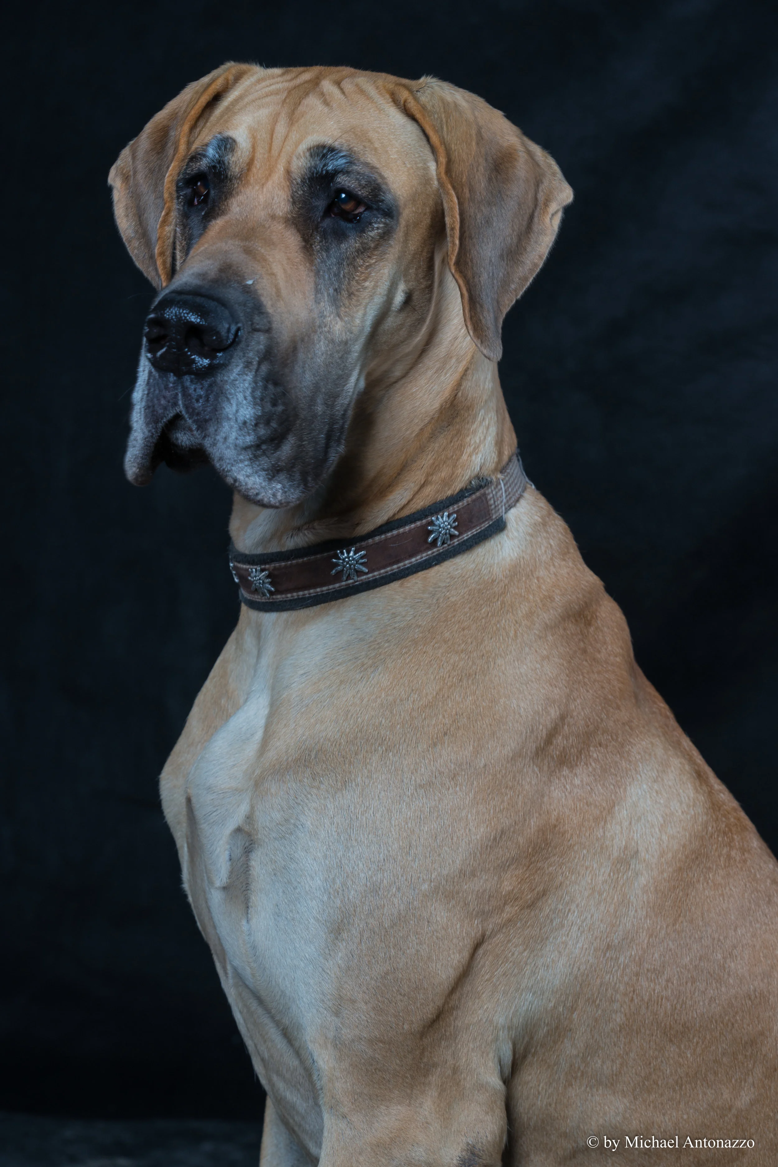 George_Java_02819-2.jpg
