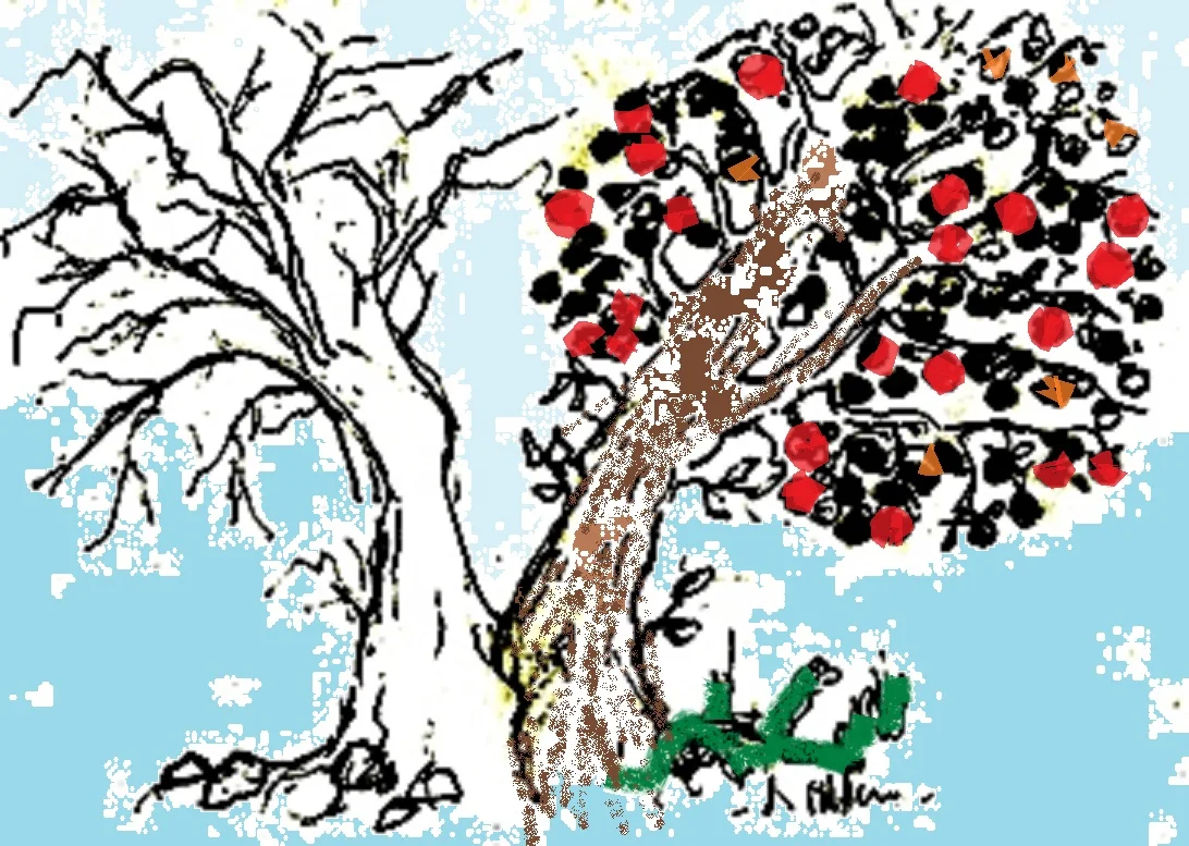 árvores pintadas banner.jpg