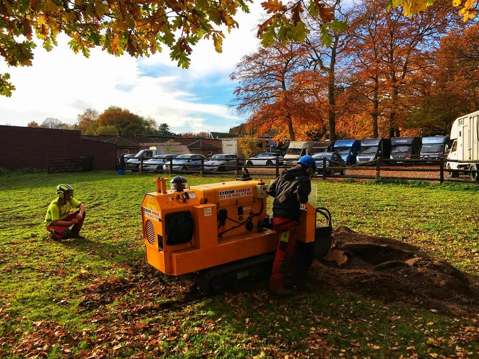 Stump Grinding - Large Stump removal
