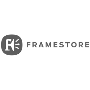 FRAMESTORE.webp