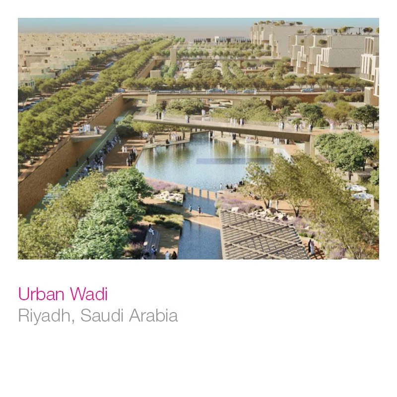 URBAN WADI.jpg