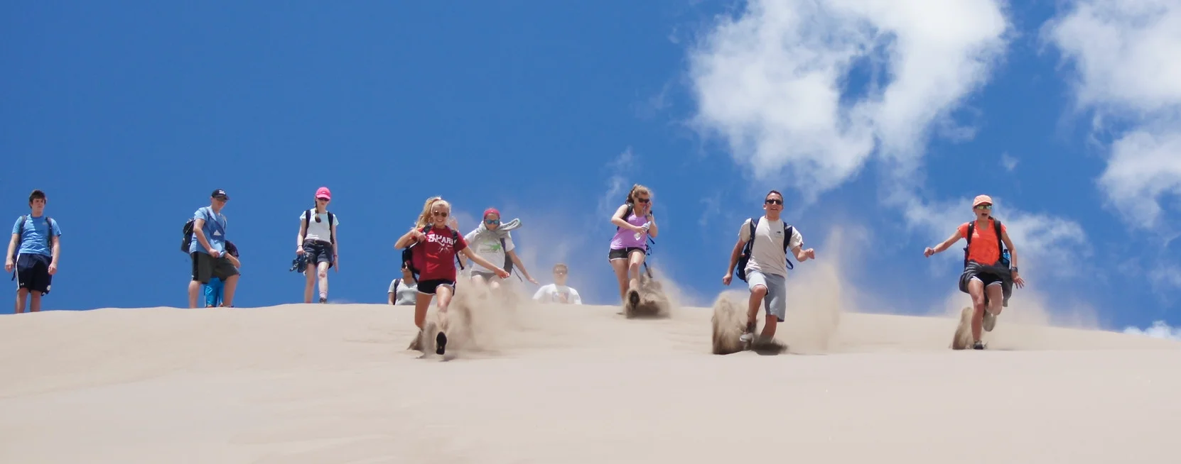 call of the wild 2015.jpg