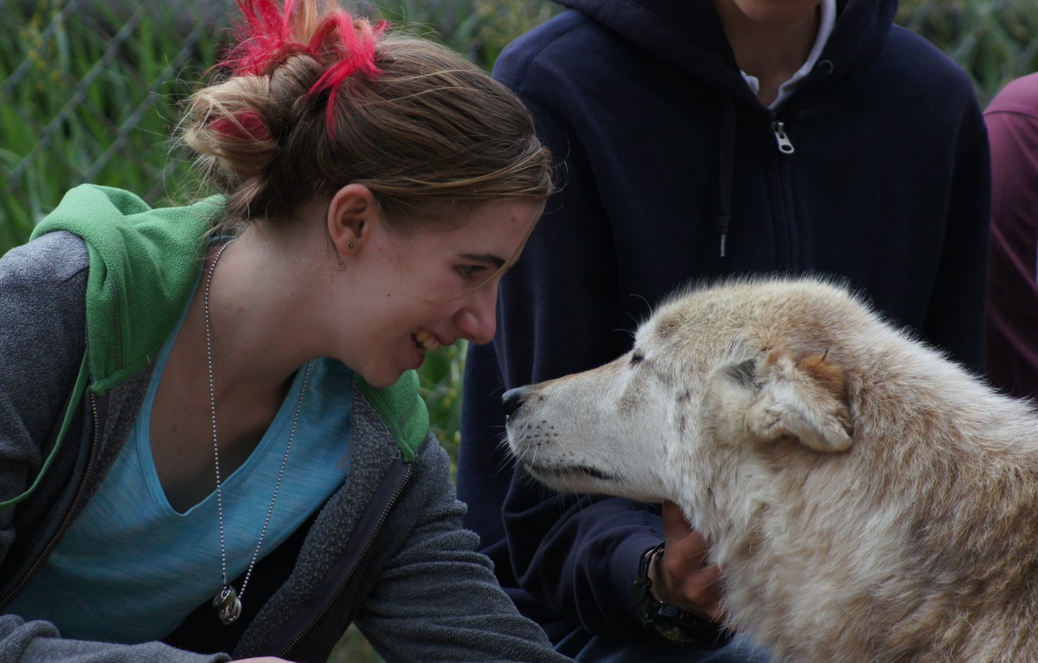 Experience one of RLT's most popular trips - visit Mission: Wolf