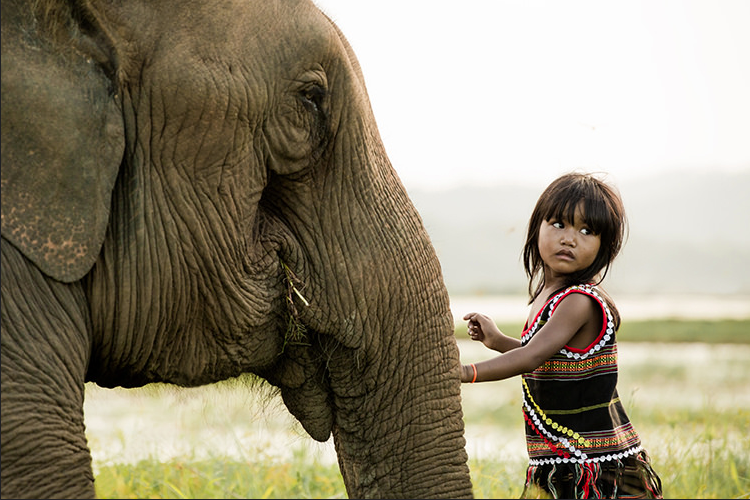 Best Friends - Rehahn Photograph (2014)