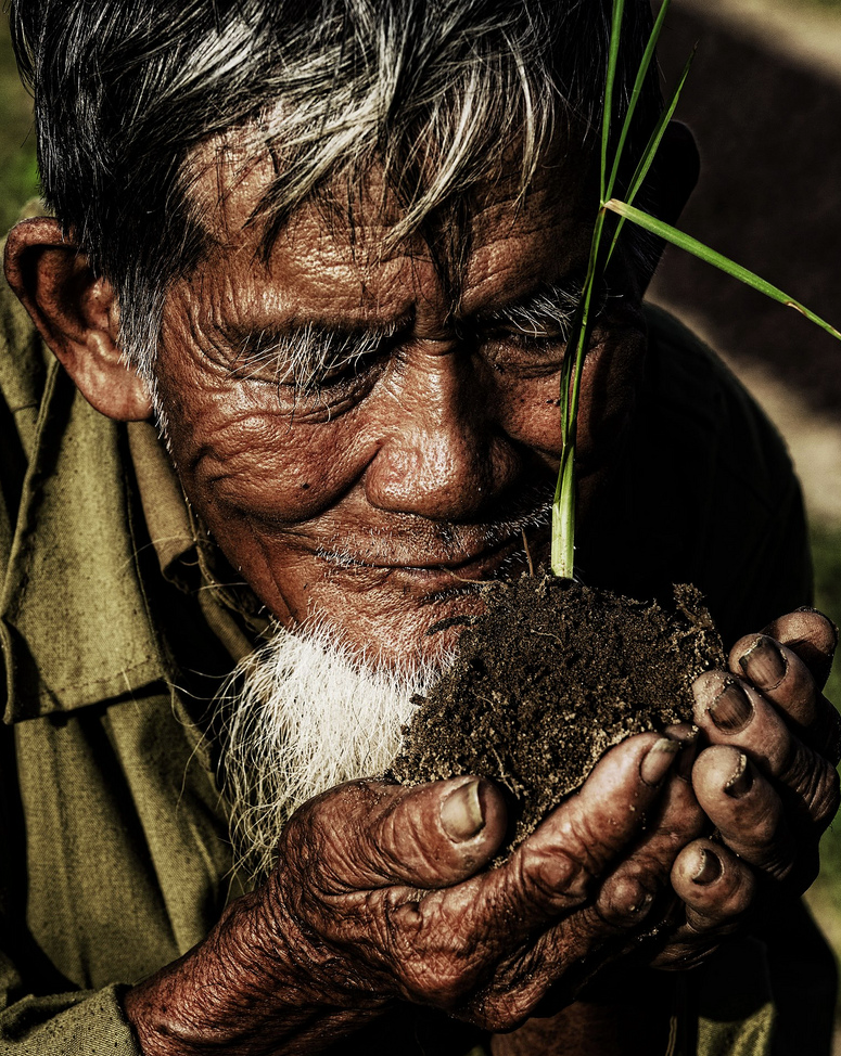 Smell of Nature - Rehahn Photograph (2014)