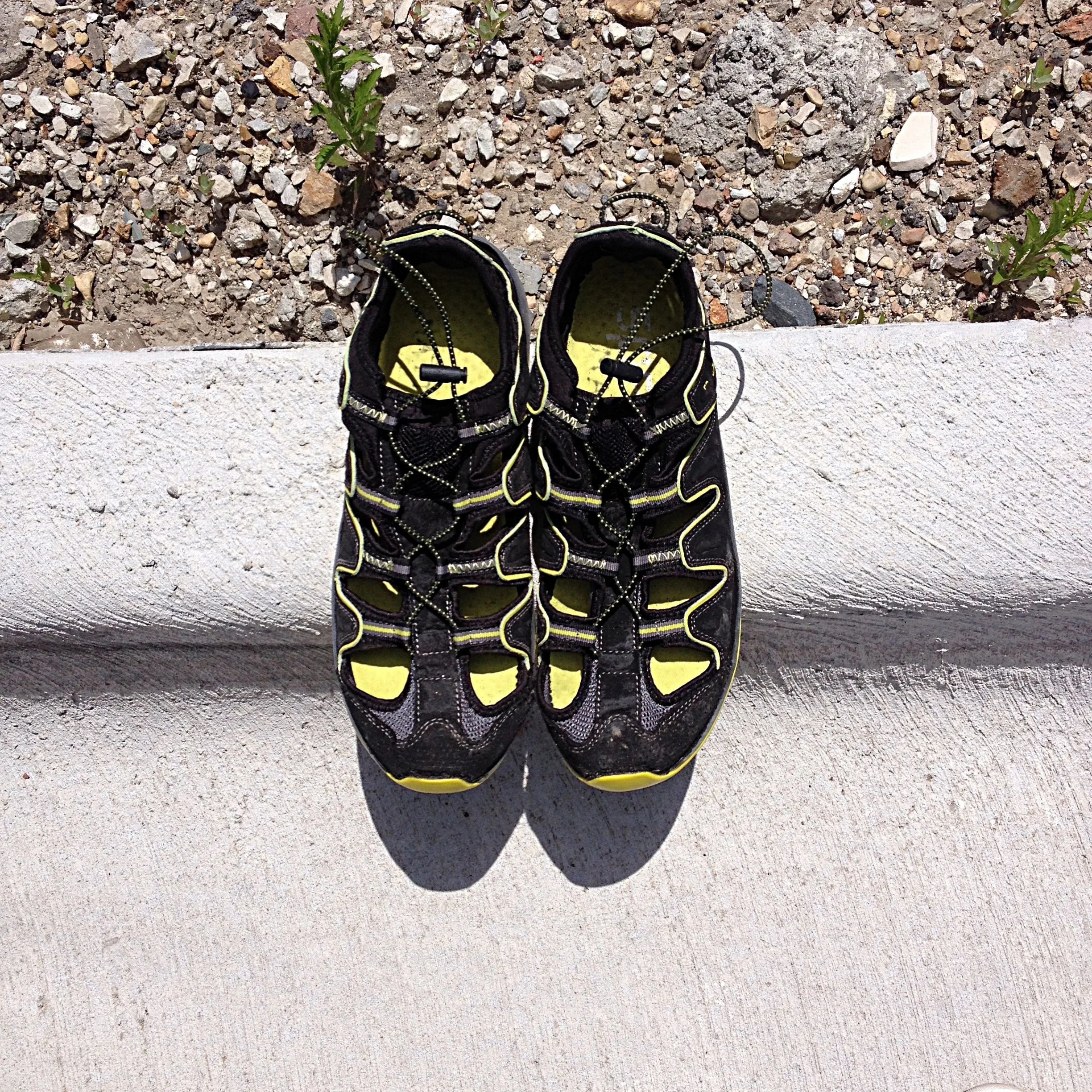 Speedo water shoes