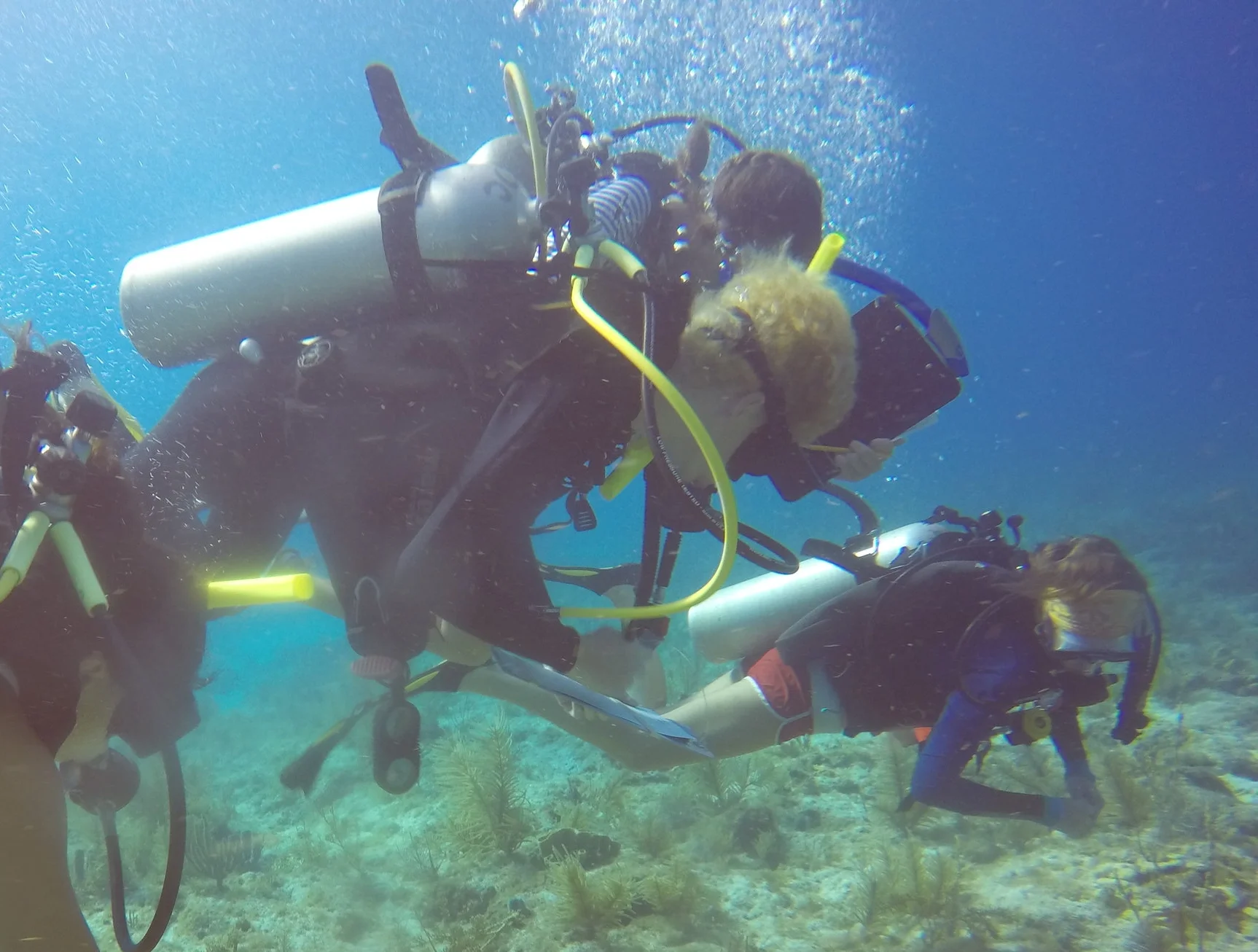 Conservation is Key 2 Max underwater jpg.jpg