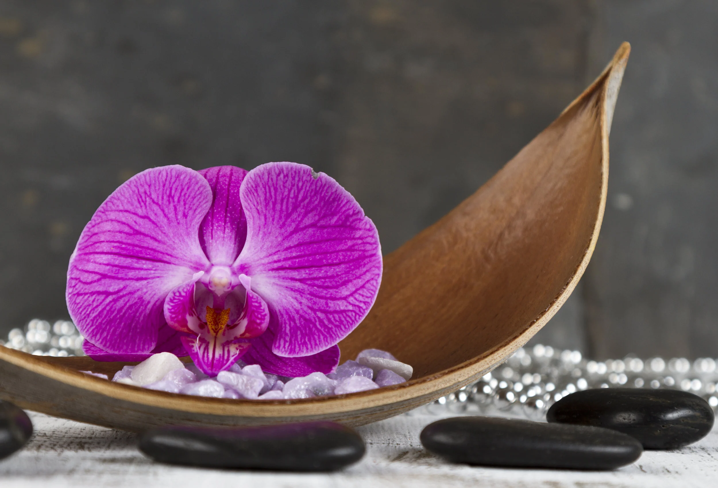 Coming back to our senses - How mindfulness can help us to stay sane in an insane world