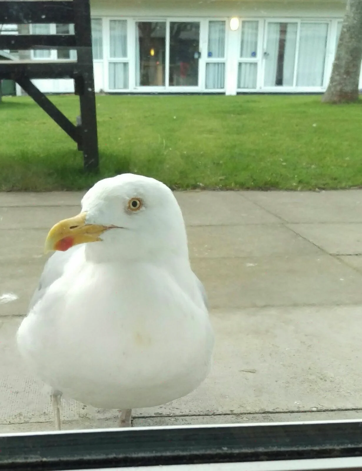 upload.jpg