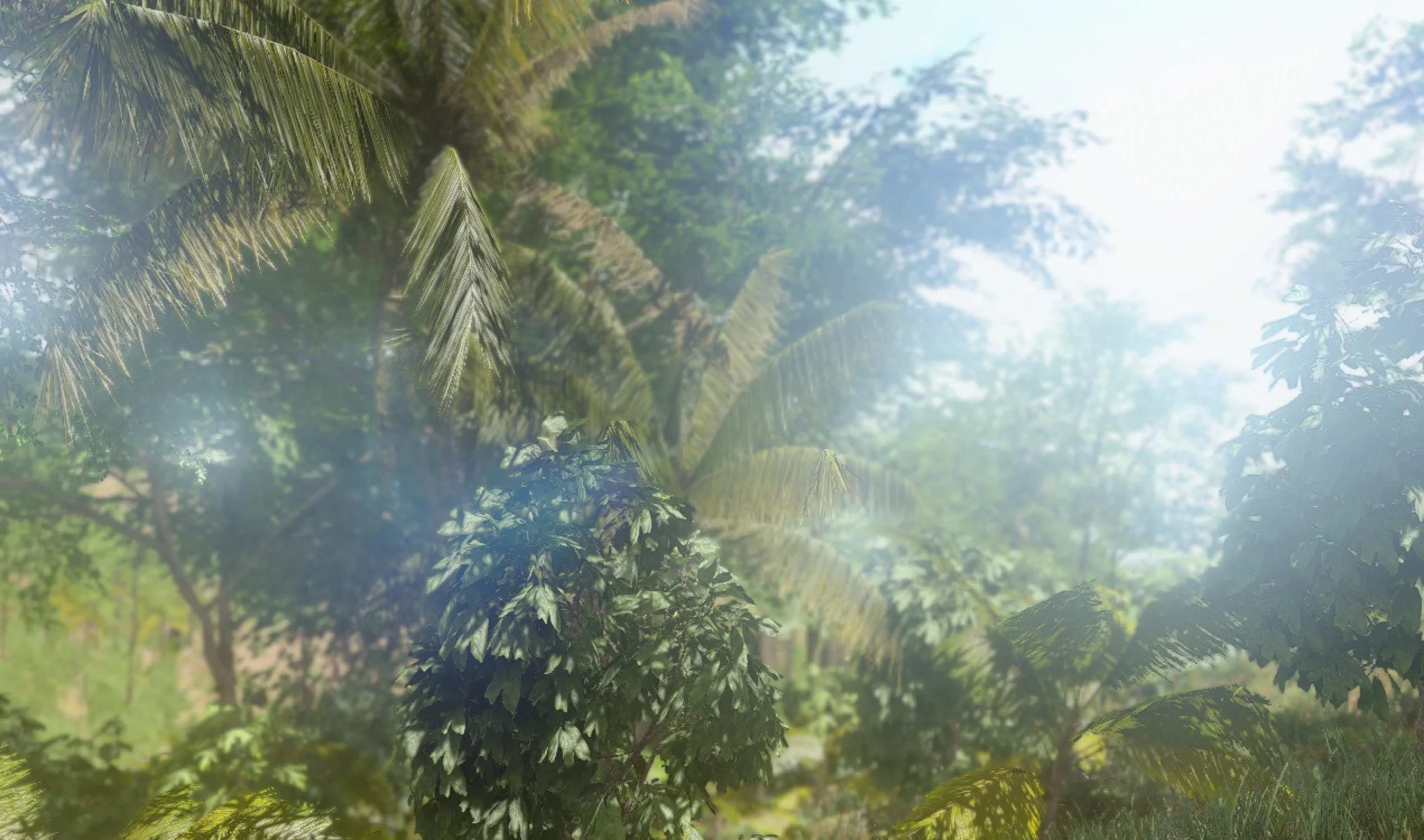 JUNGLE.jpg