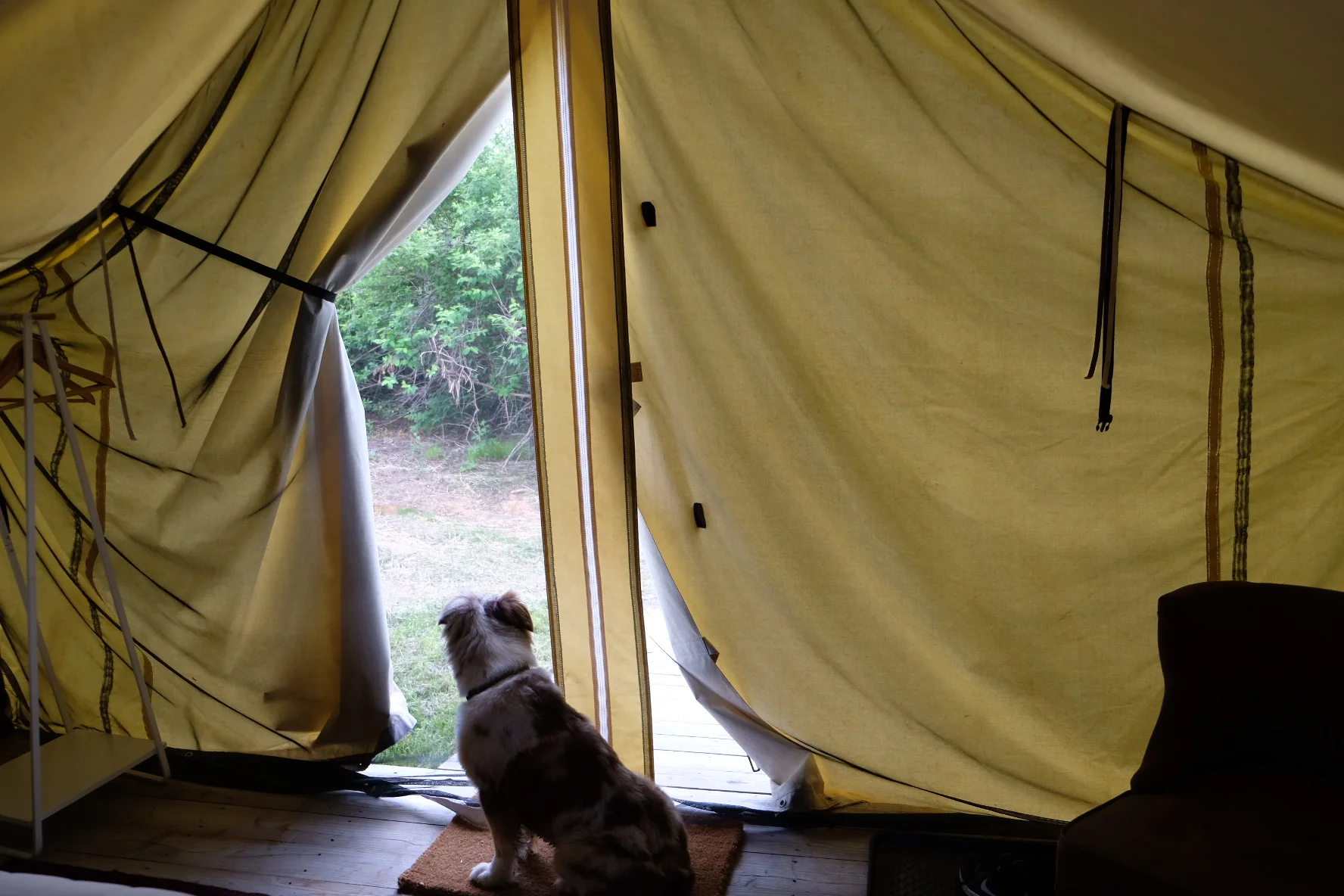 Glamping at Firelight Camps 