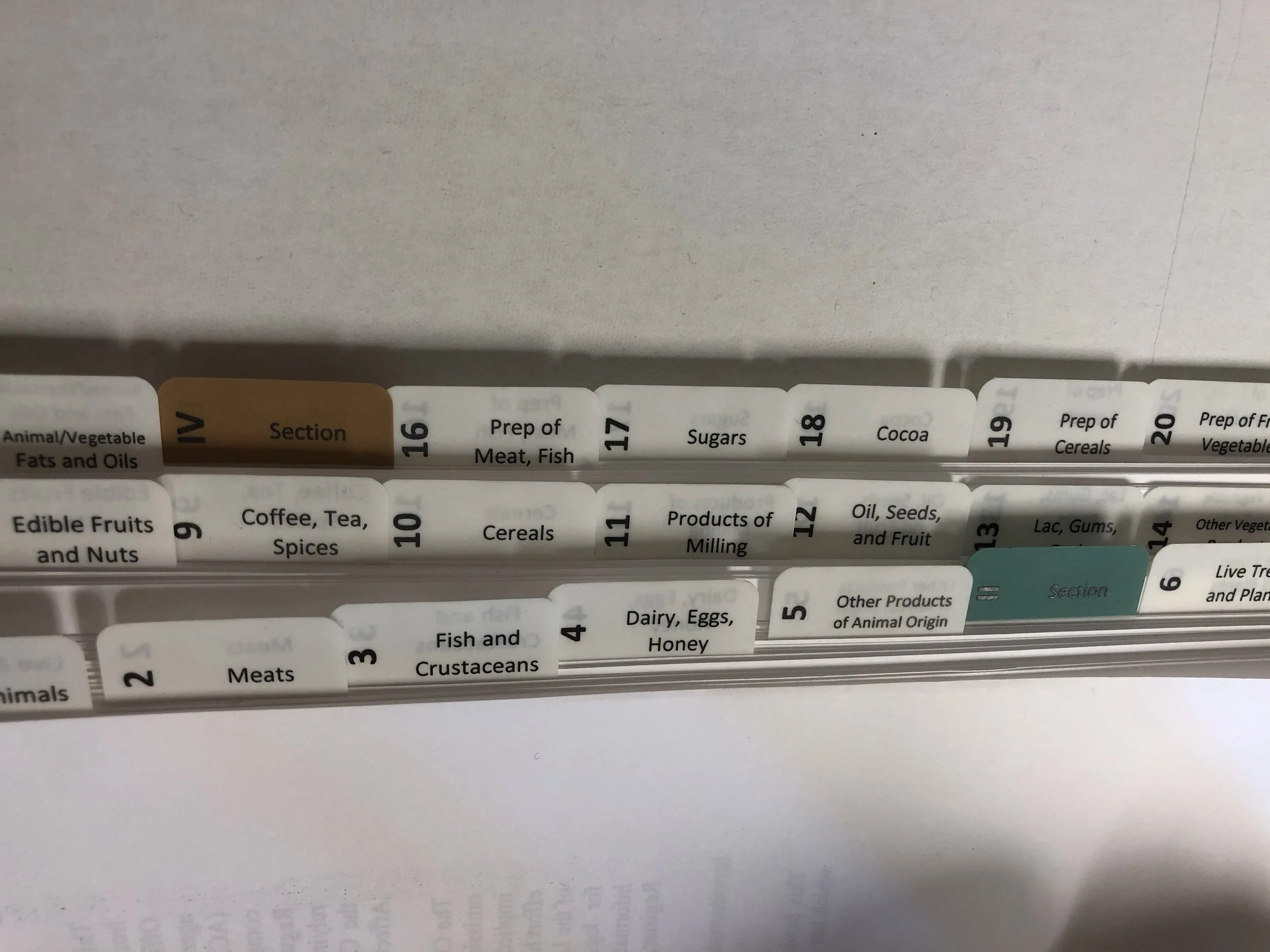 Tabs 2.jpg