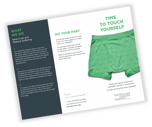Awareness 3 fold pamphlet