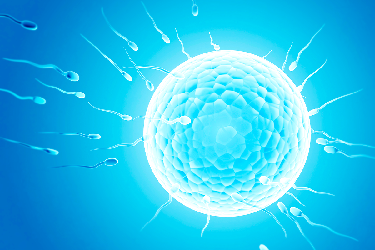 How to boost my sperm?