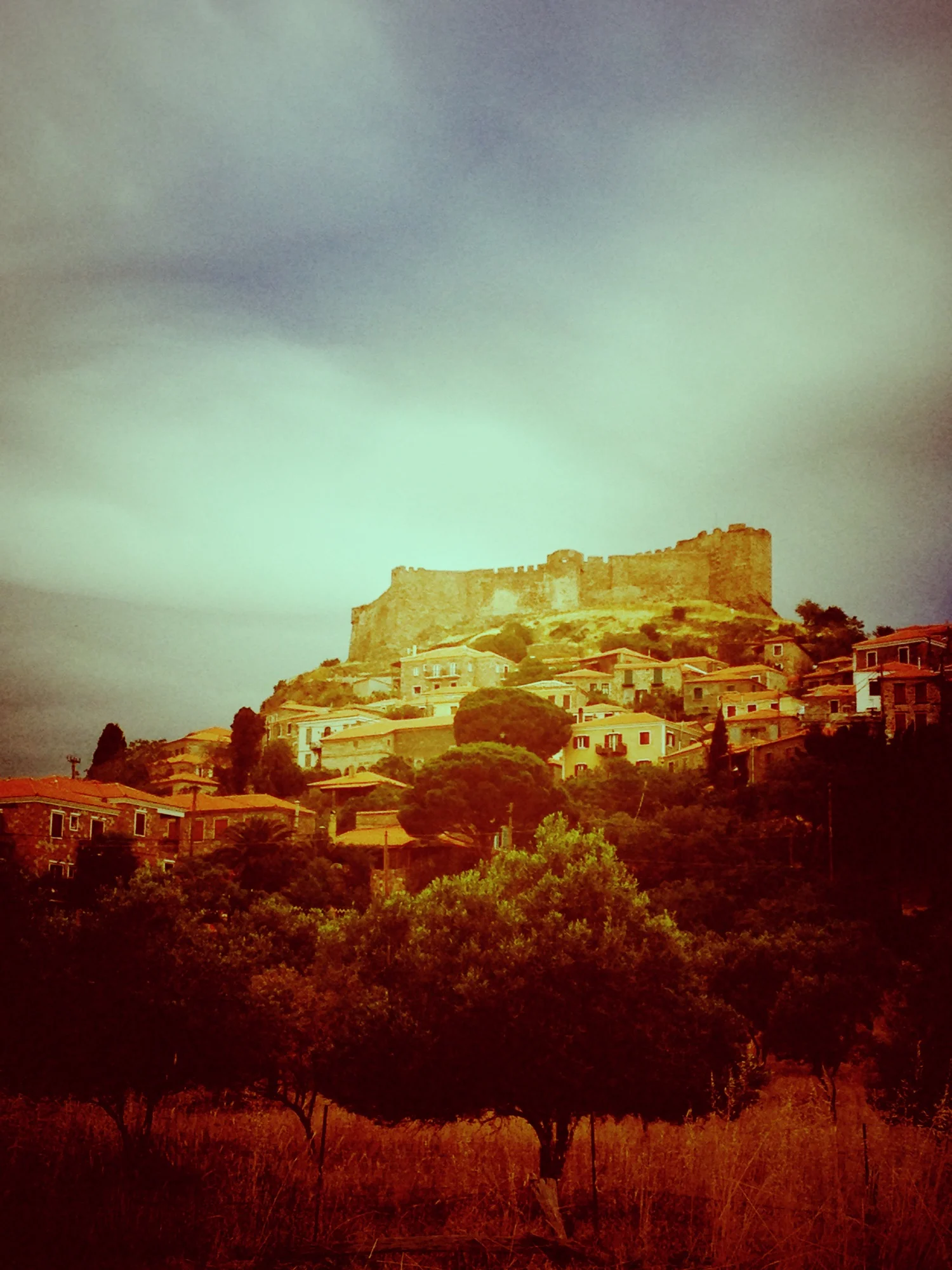 FOTI Book Cover Village.jpg