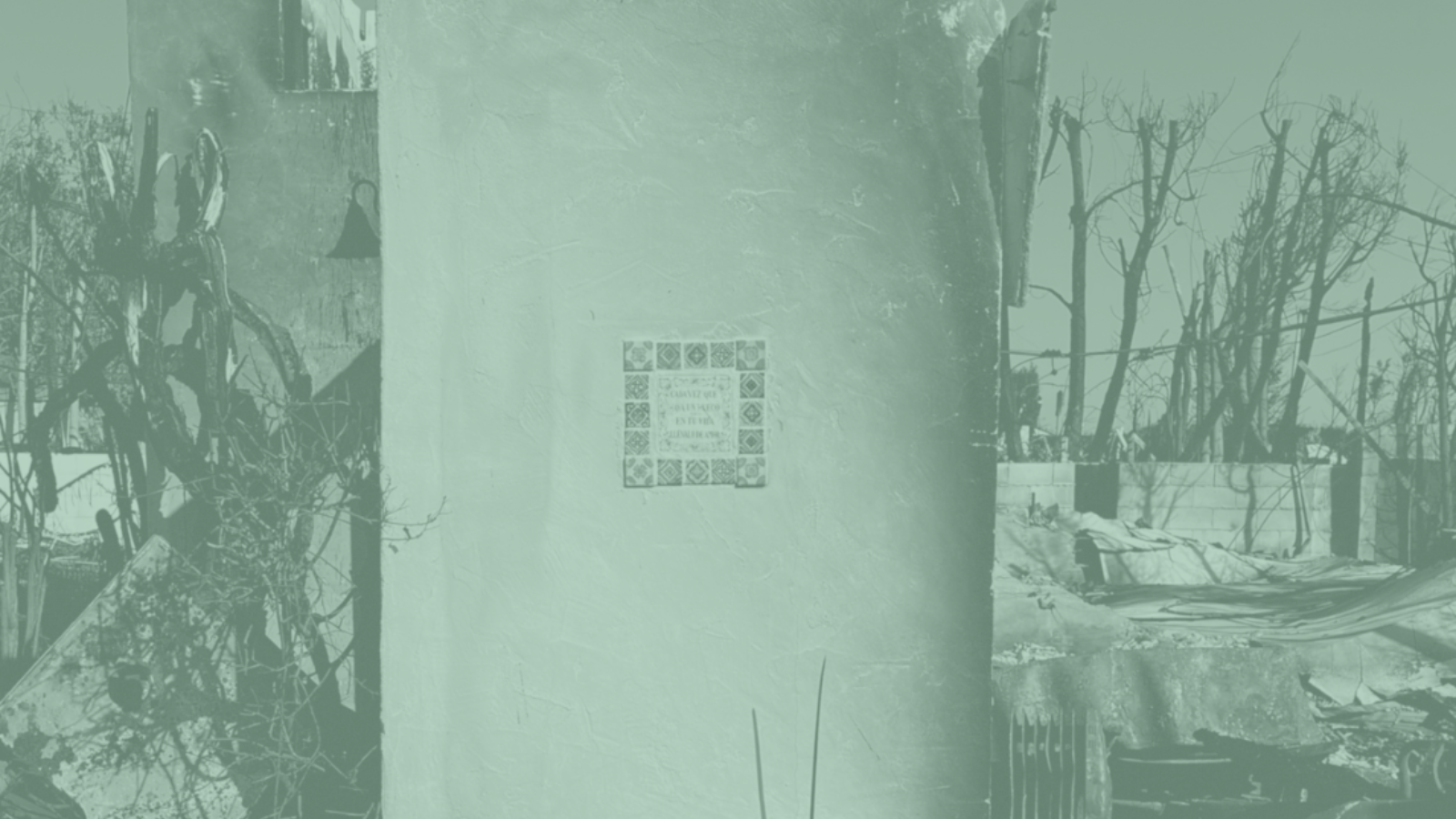 “I love my home. It is a poem.”