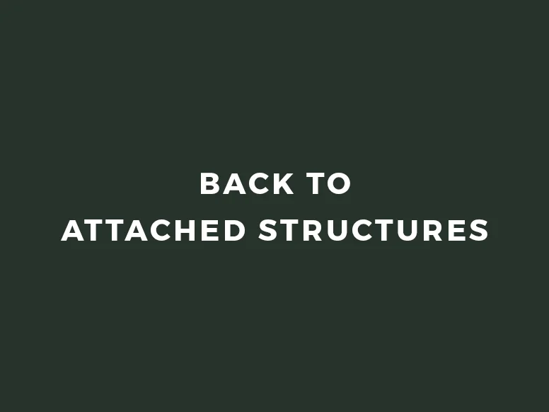 back-button.jpg