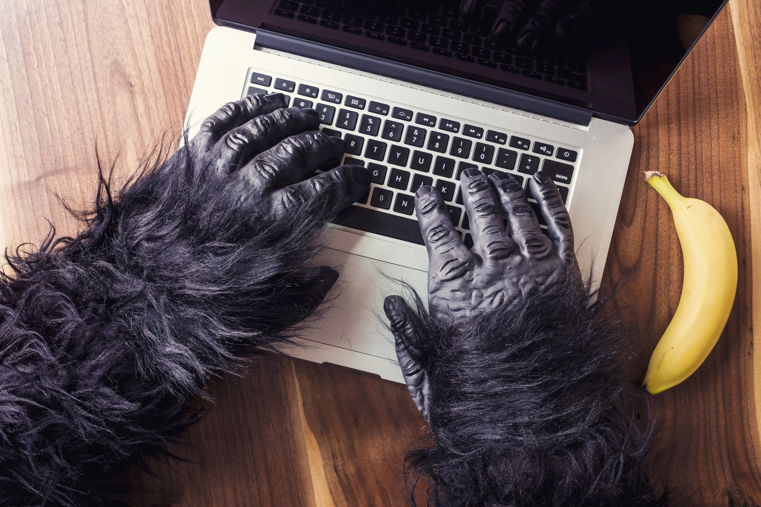gorilla typing.jpg