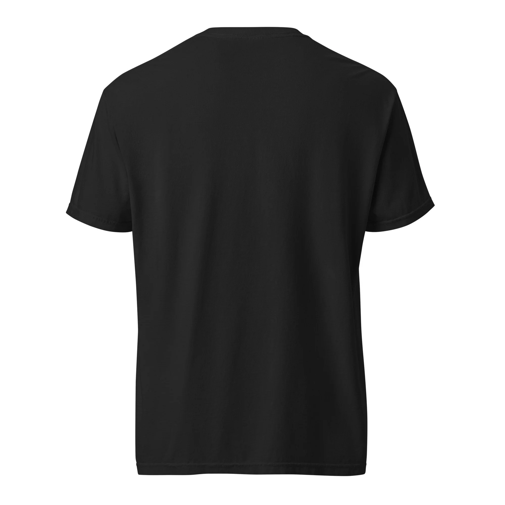 unisex-garment-dyed-heavyweight-t-shirt-black-back-6a7fd89fb3826.jpg
