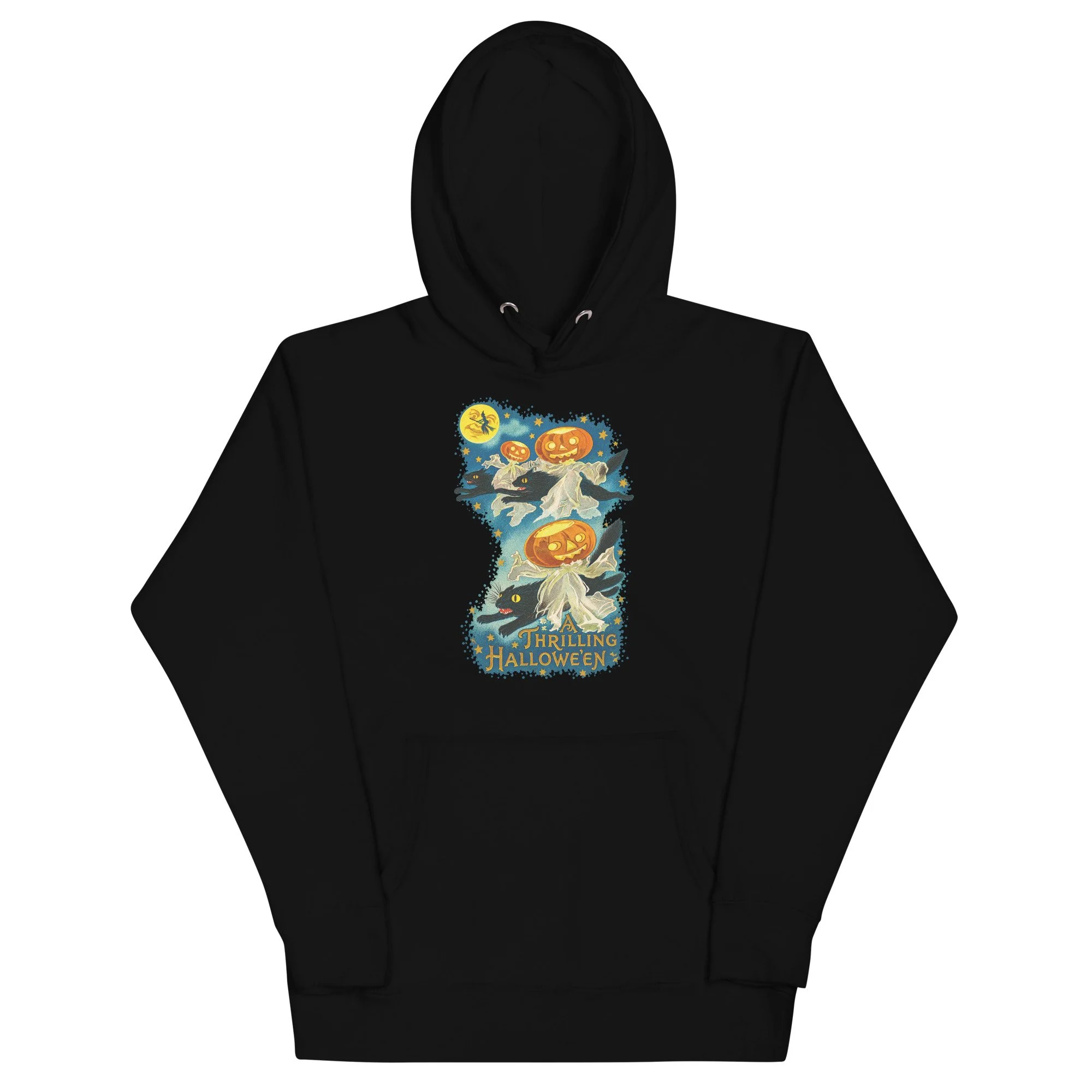 unisex-premium-pullover-hoodie-black-front-6aa601a012f21.jpg