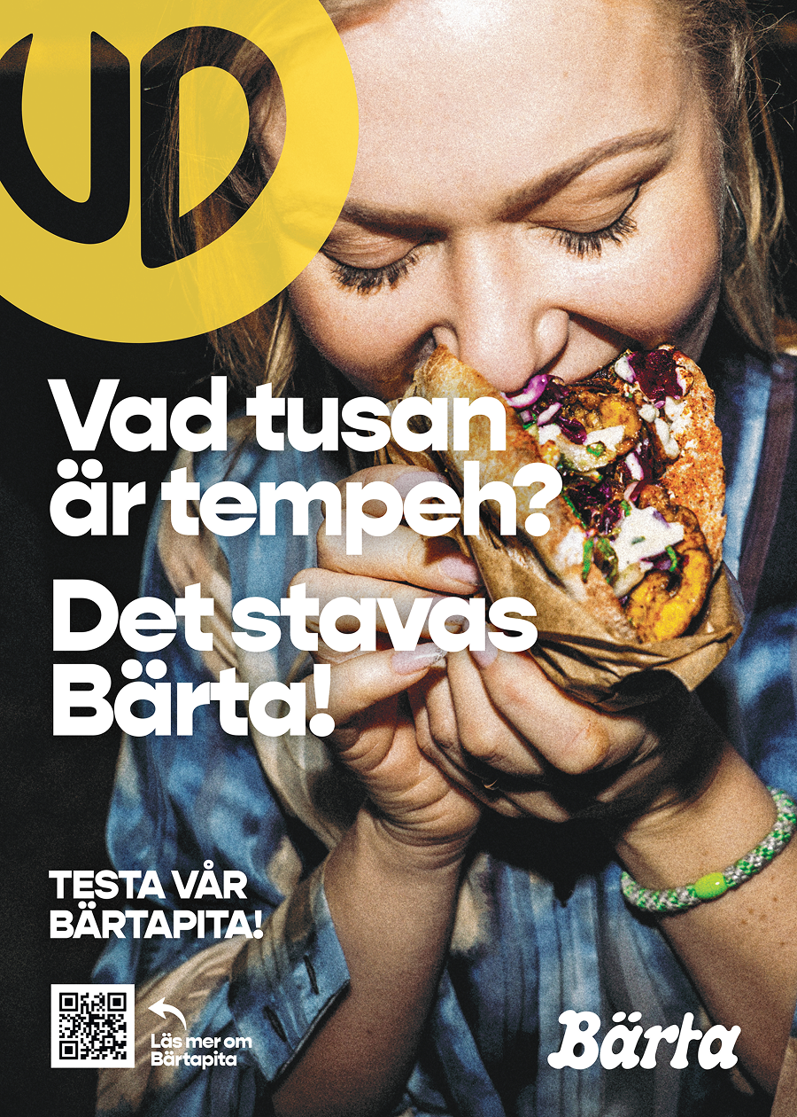 Bärtakebab Poster_page-0003 1.png