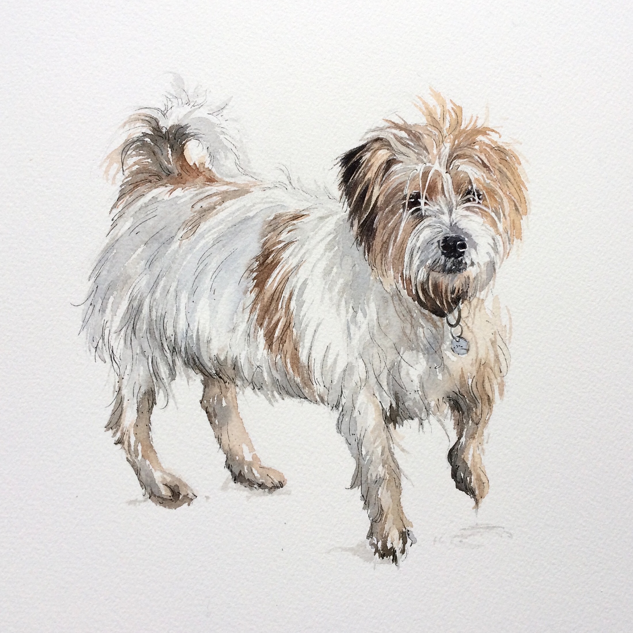 Harry, watercolour