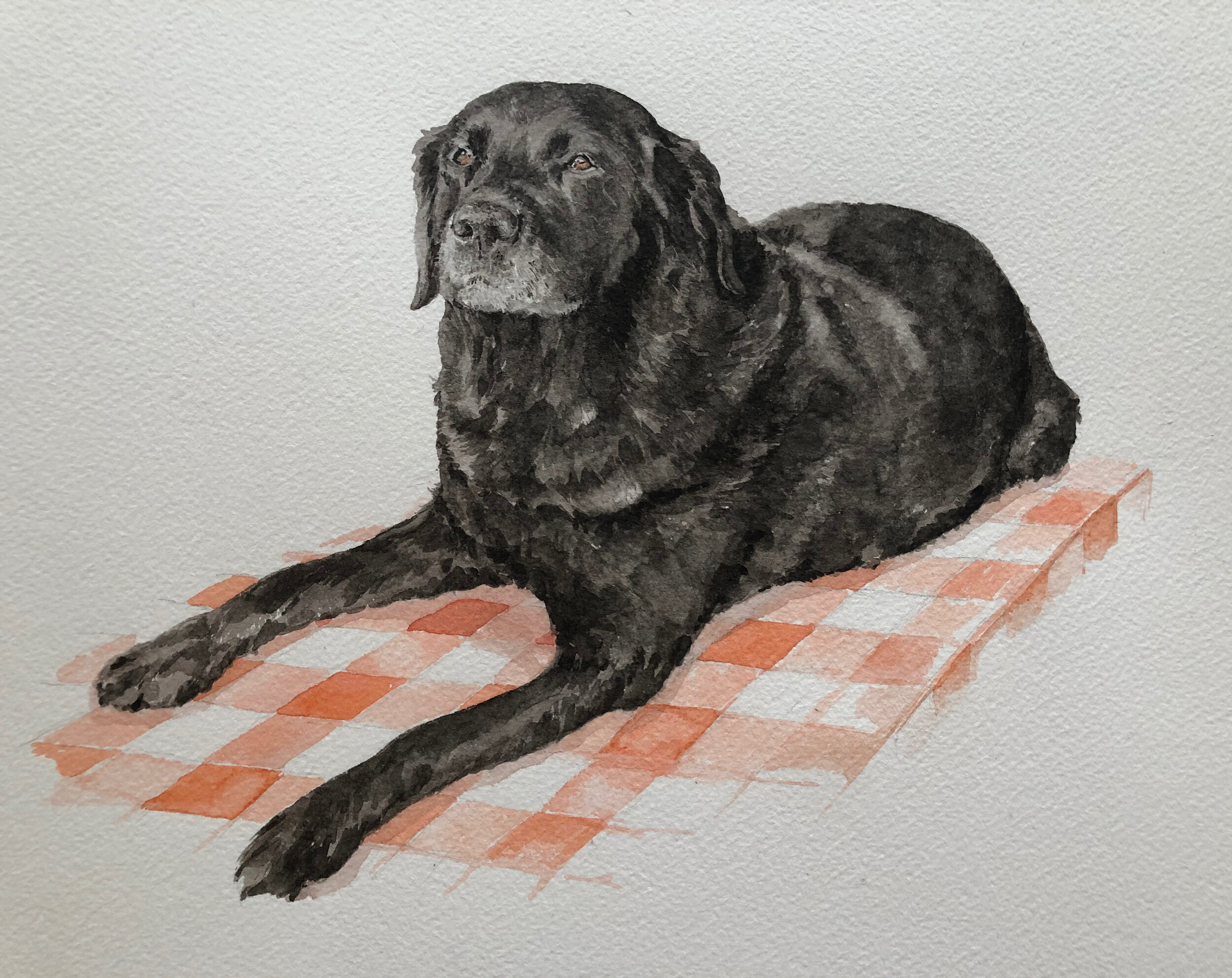 Lexi, watercolour