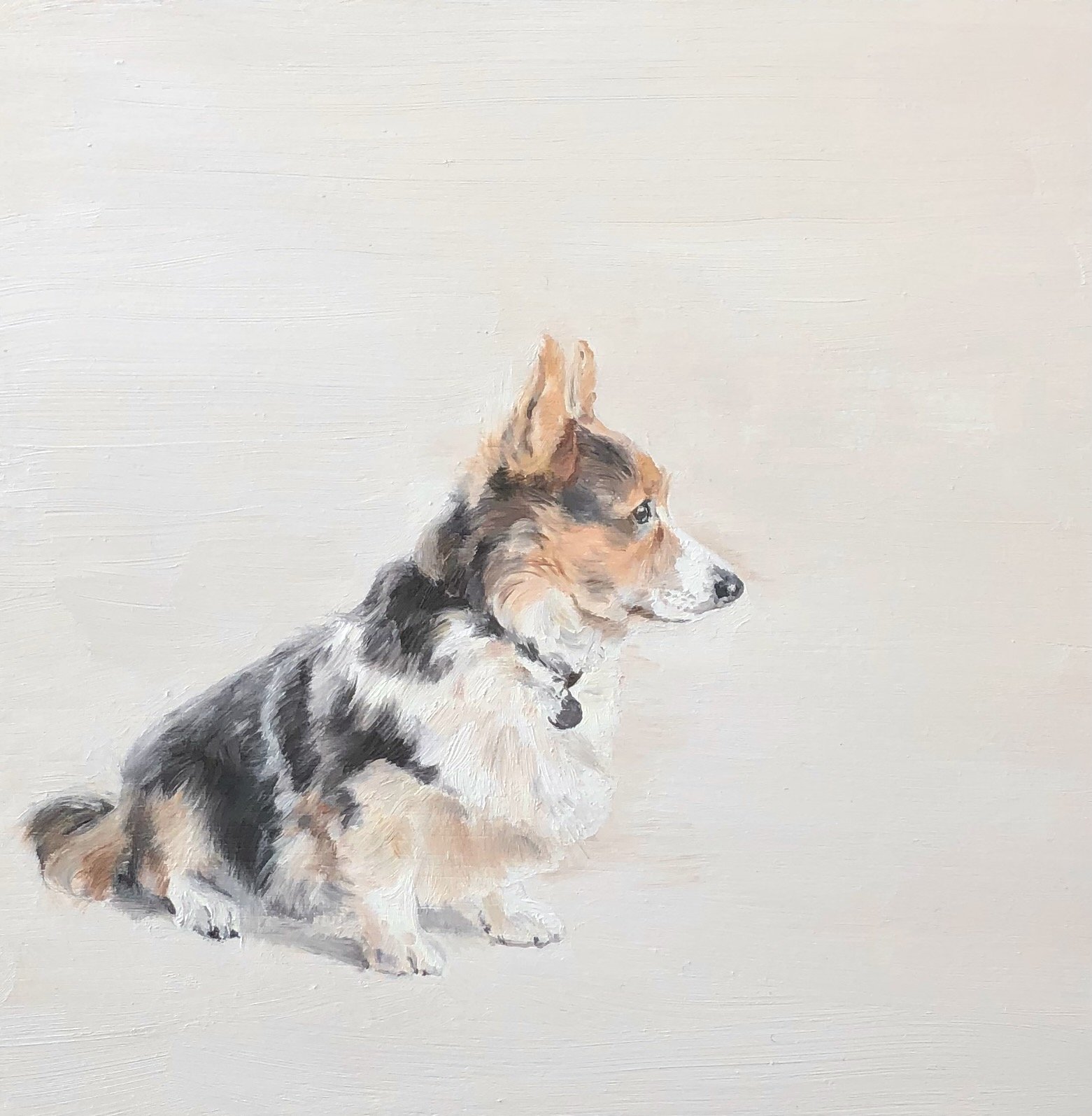 a corgi, oil on board, 20 x 20cm