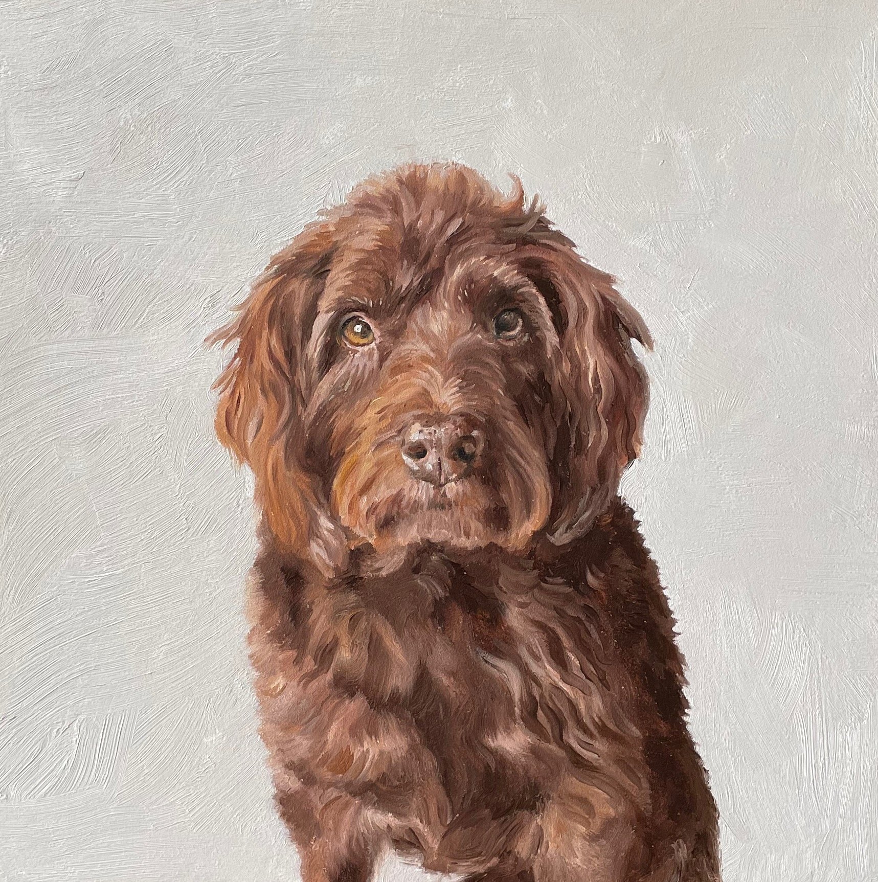 Hector, oil on board, 20 x20cm 