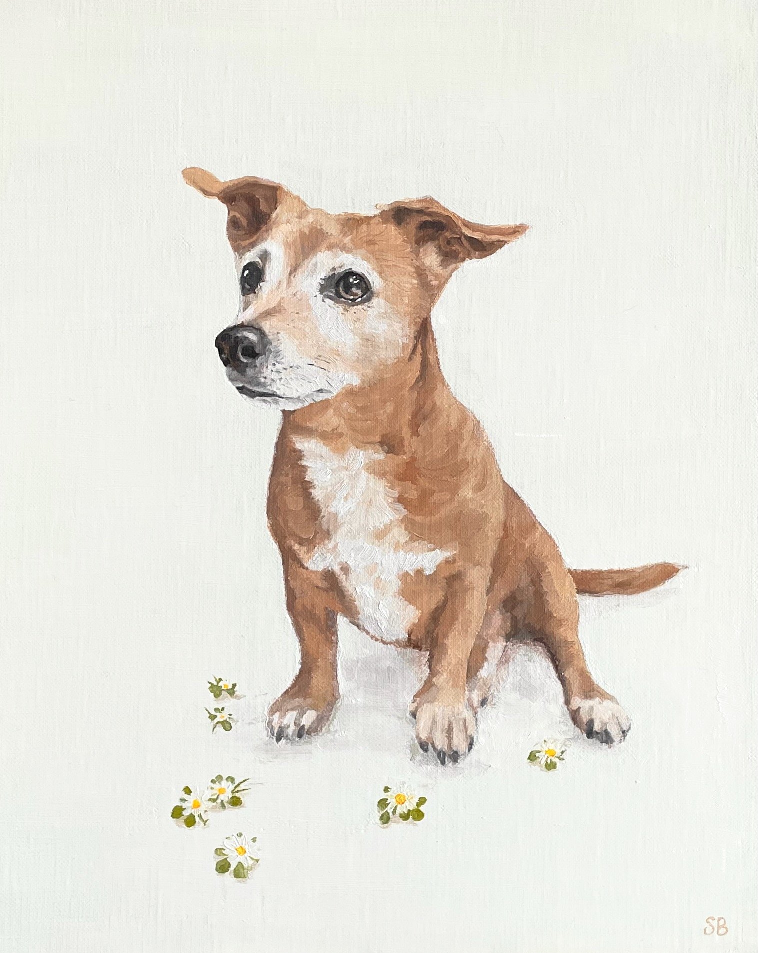 Willow in the daisies.     24cm x 30cm oil on linen board