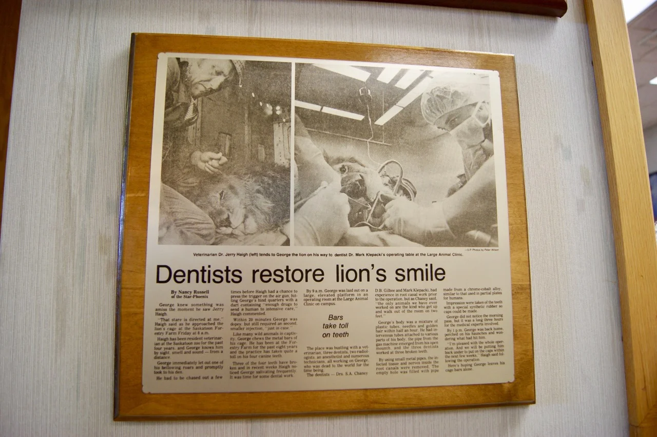 Precision Dental Associates