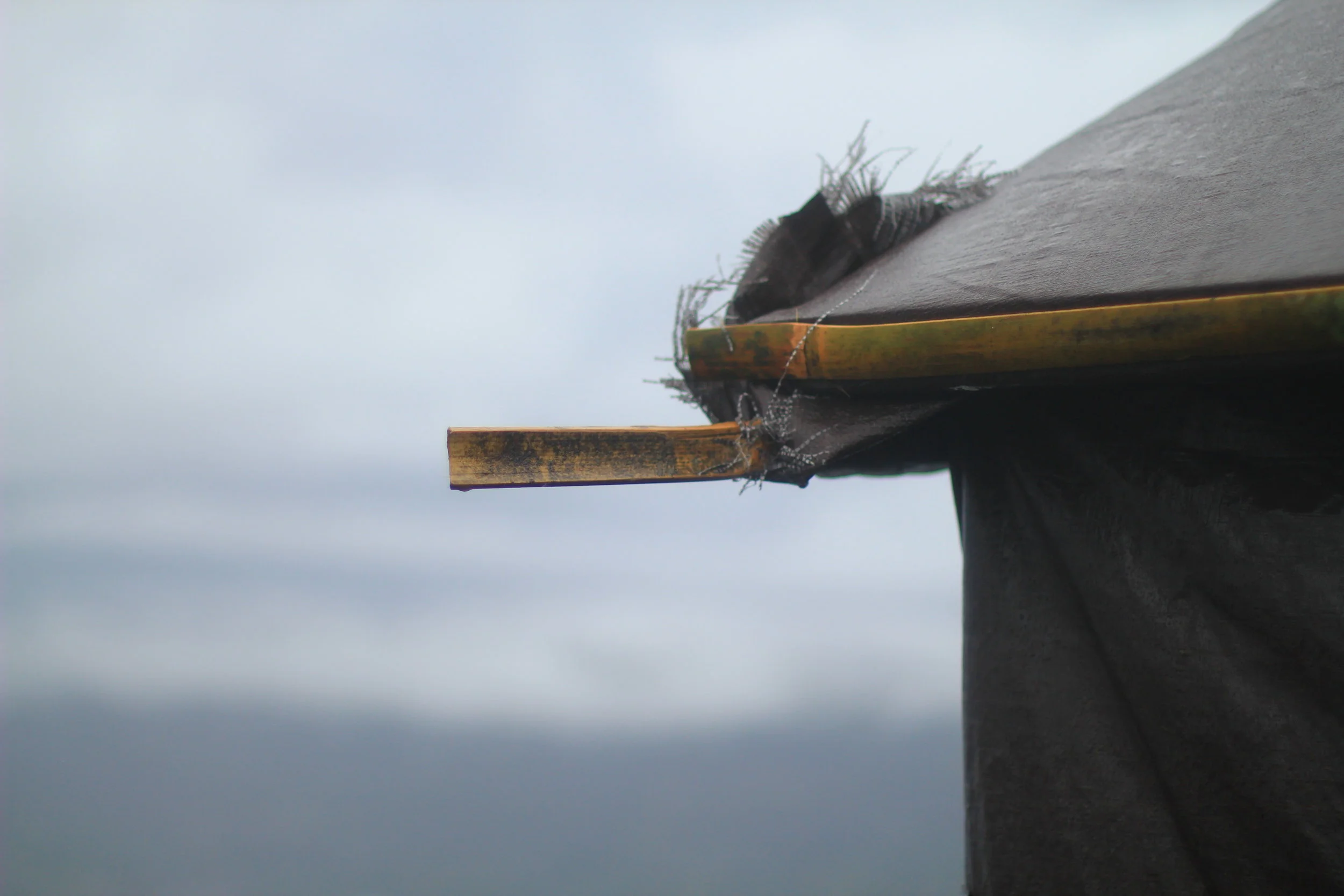 PREMIÈRE DE CORDÉE 