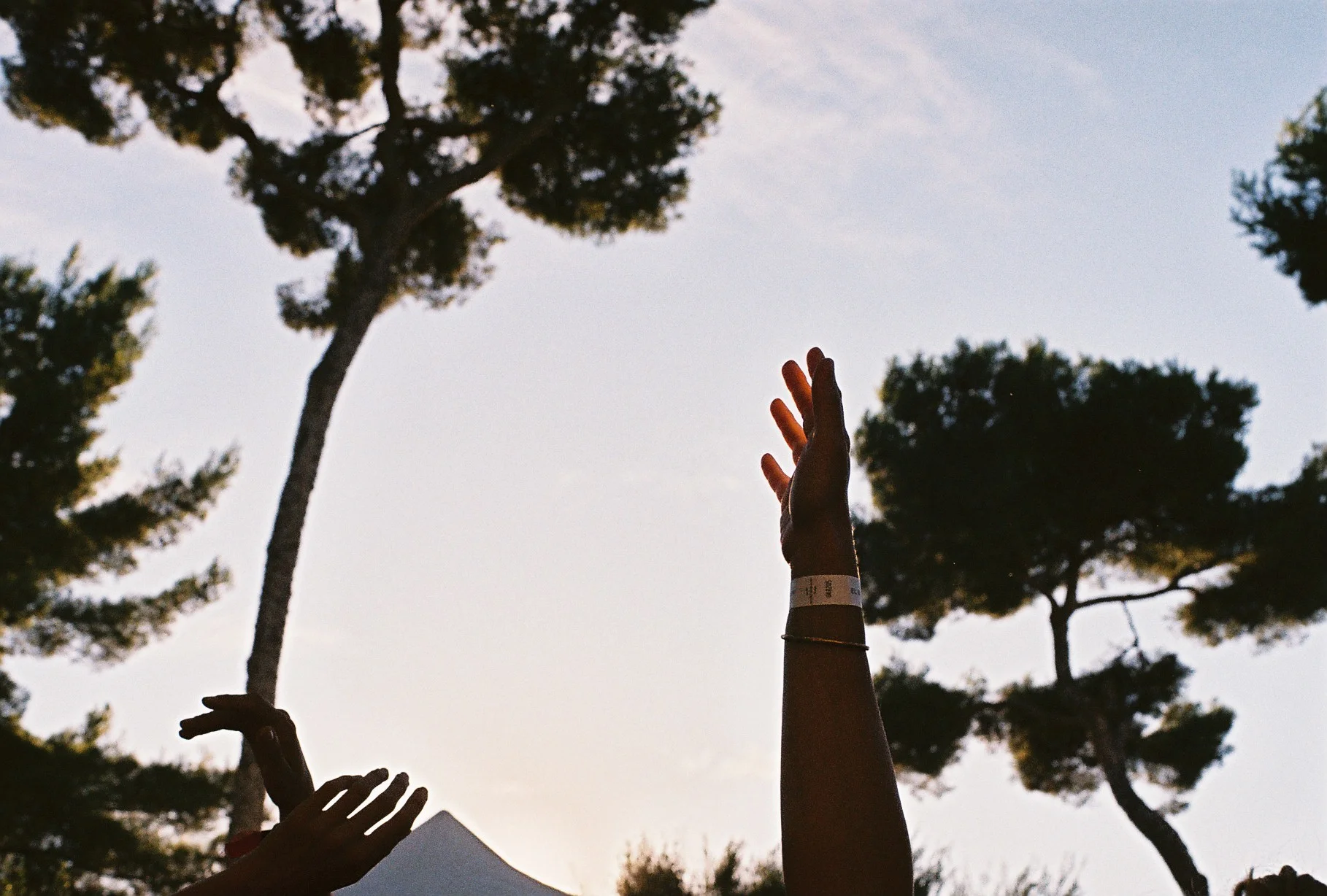 ÉBAUCHES D’UN ÉTÉ