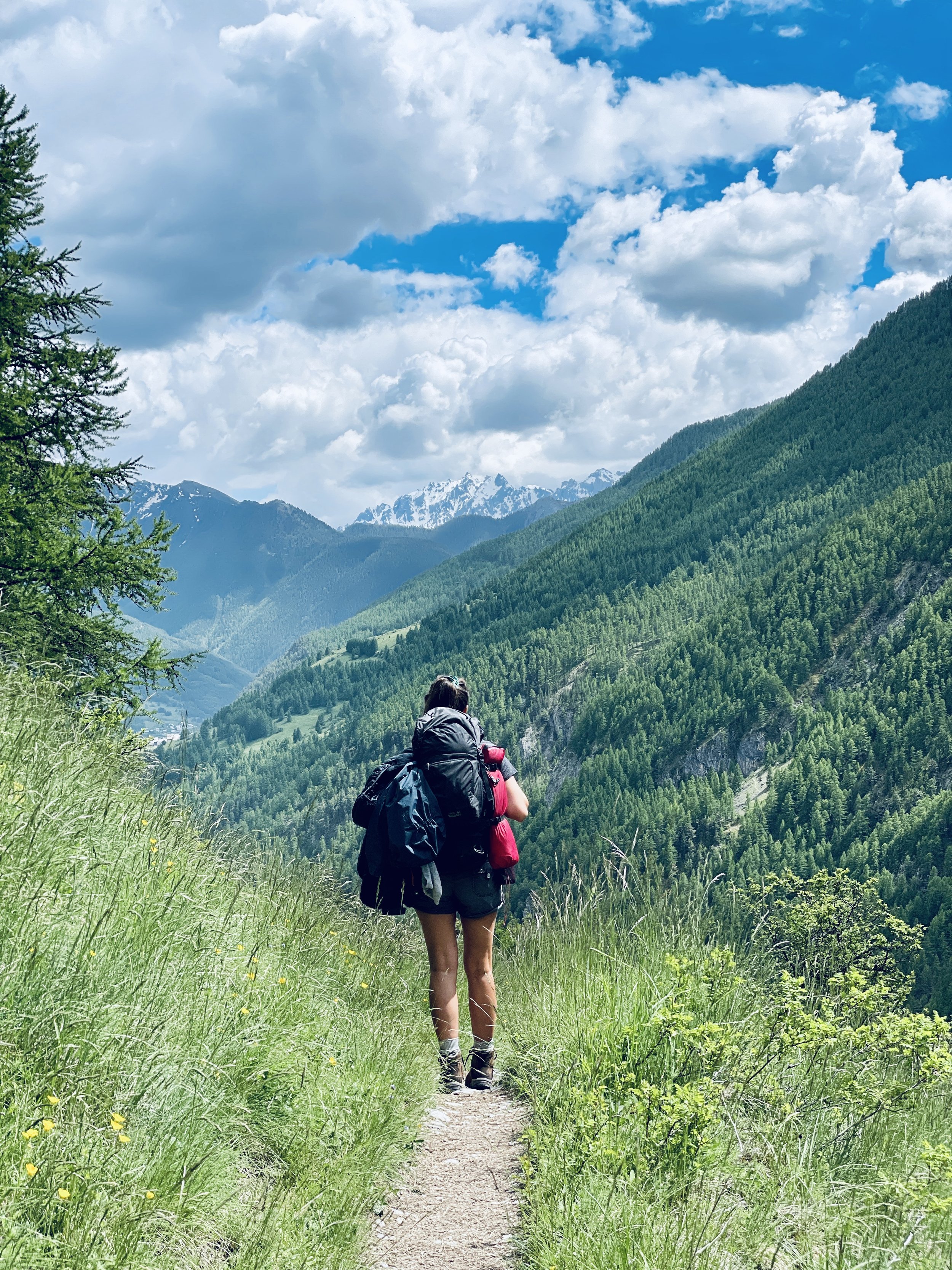 INSPIRE FREEDOM - ENTREPRENEURS MULTI-POTENTIELS + MENTORAT INDIVIDUEL