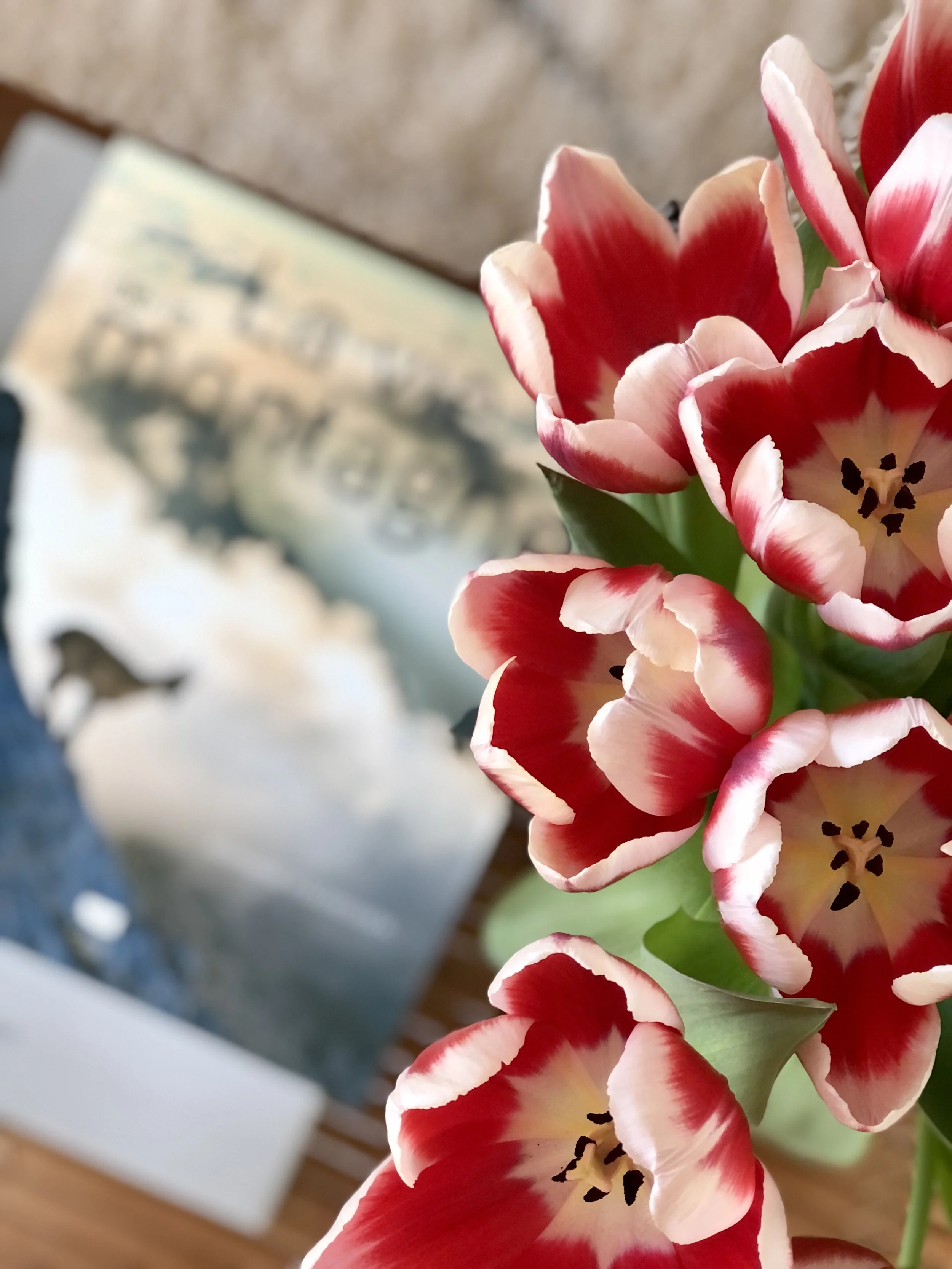 Portrait littéraire de Charlotte