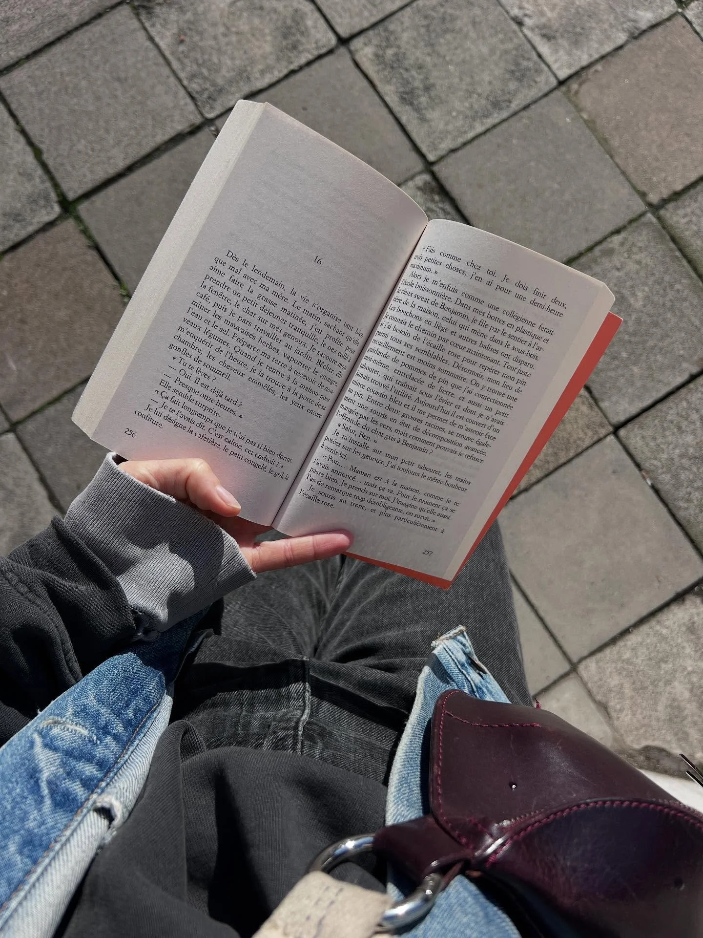 Octobre photos dump 
Un mois statique.
Version 2.0
Avec un v&eacute;ritable challenge : garder le moral loin de mes montagnes, pr&eacute;server ma sant&eacute; mentale sous la grisaille en passant des dizaines d&rsquo;heures par jour derri&egrave;re 