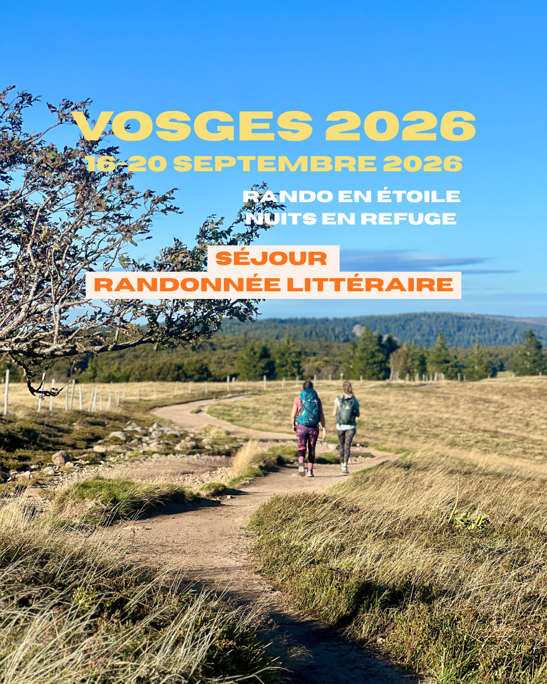 Séjours 2026.png