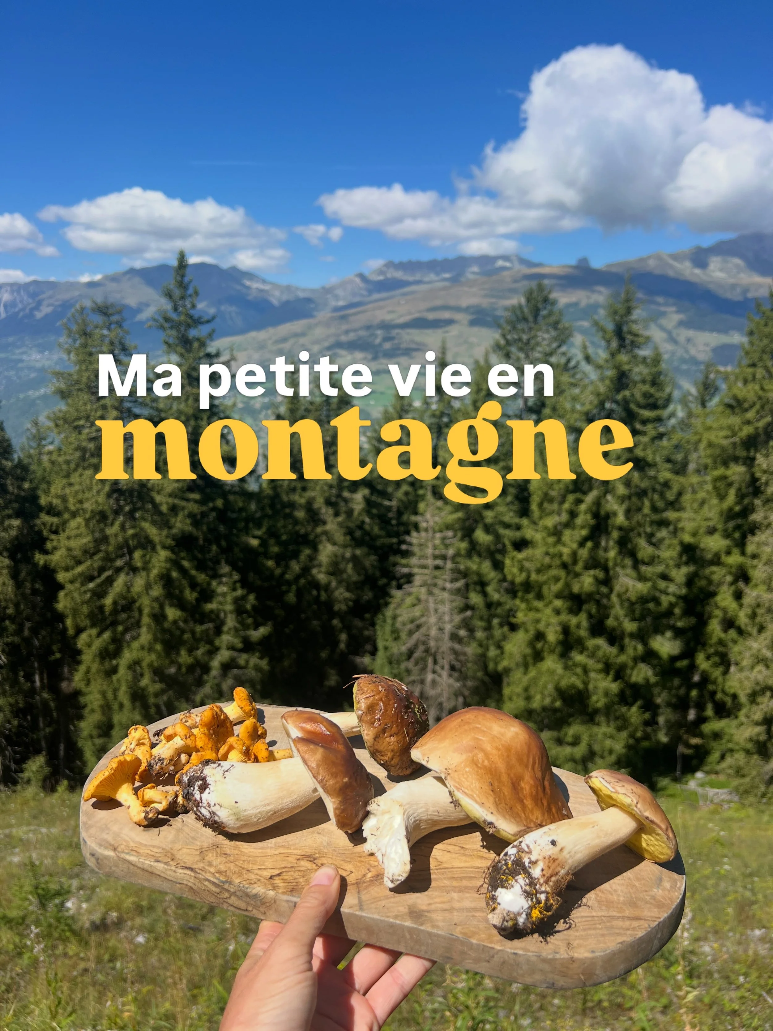 Ou la fin d&rsquo;une nouvelle saison d&rsquo;&eacute;t&eacute; 

J&rsquo;aime transmettre l&rsquo;amour du vivant, du mouvement, du temps qui s&rsquo;&eacute;tire ainsi que le pouvoir de la respiration consciente et l&rsquo;invitation &agrave; ralen