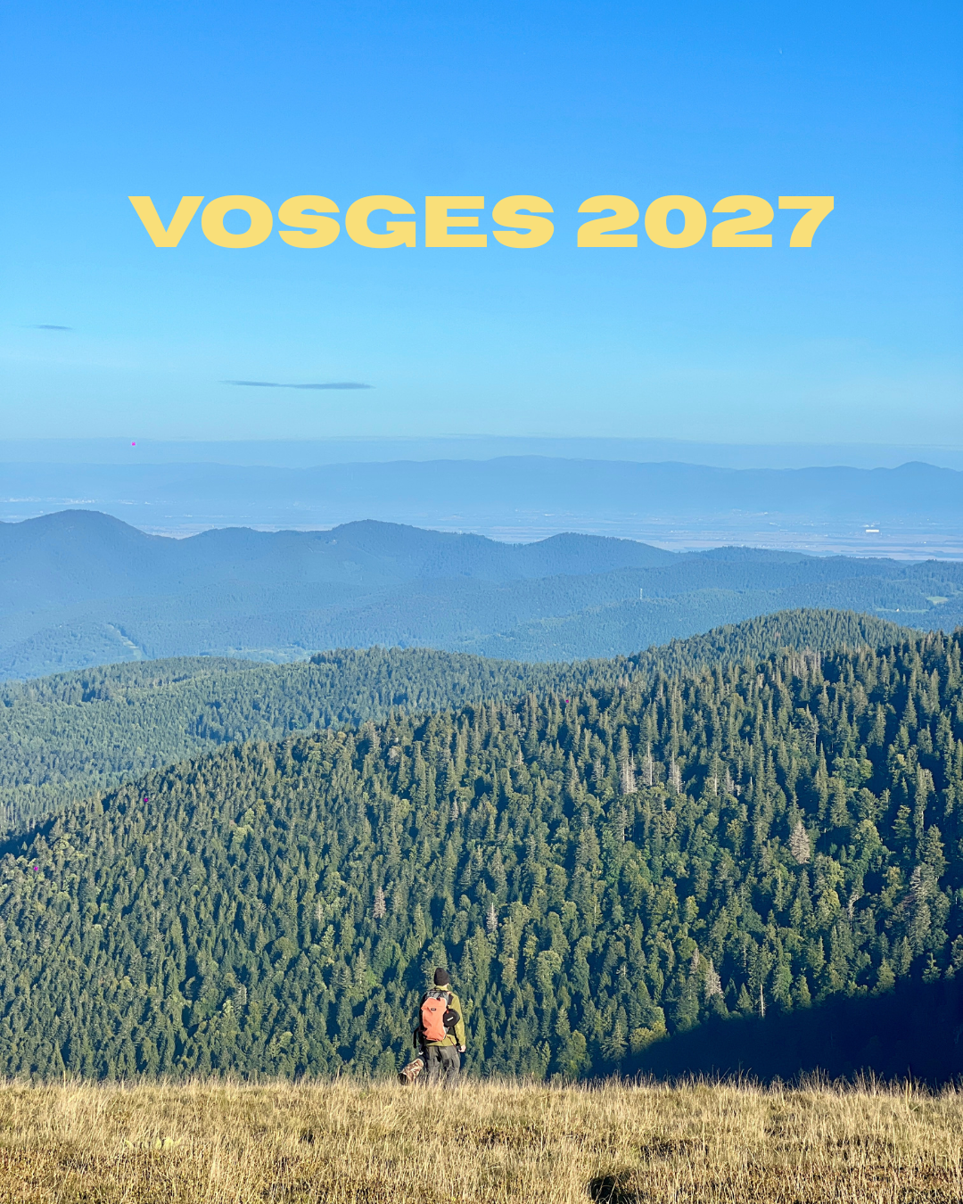 VOSGES.png