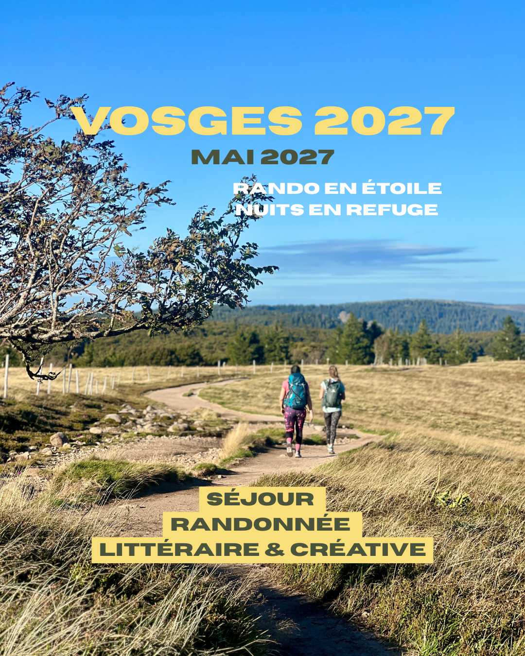 VOSGES LITTERAIRE.png