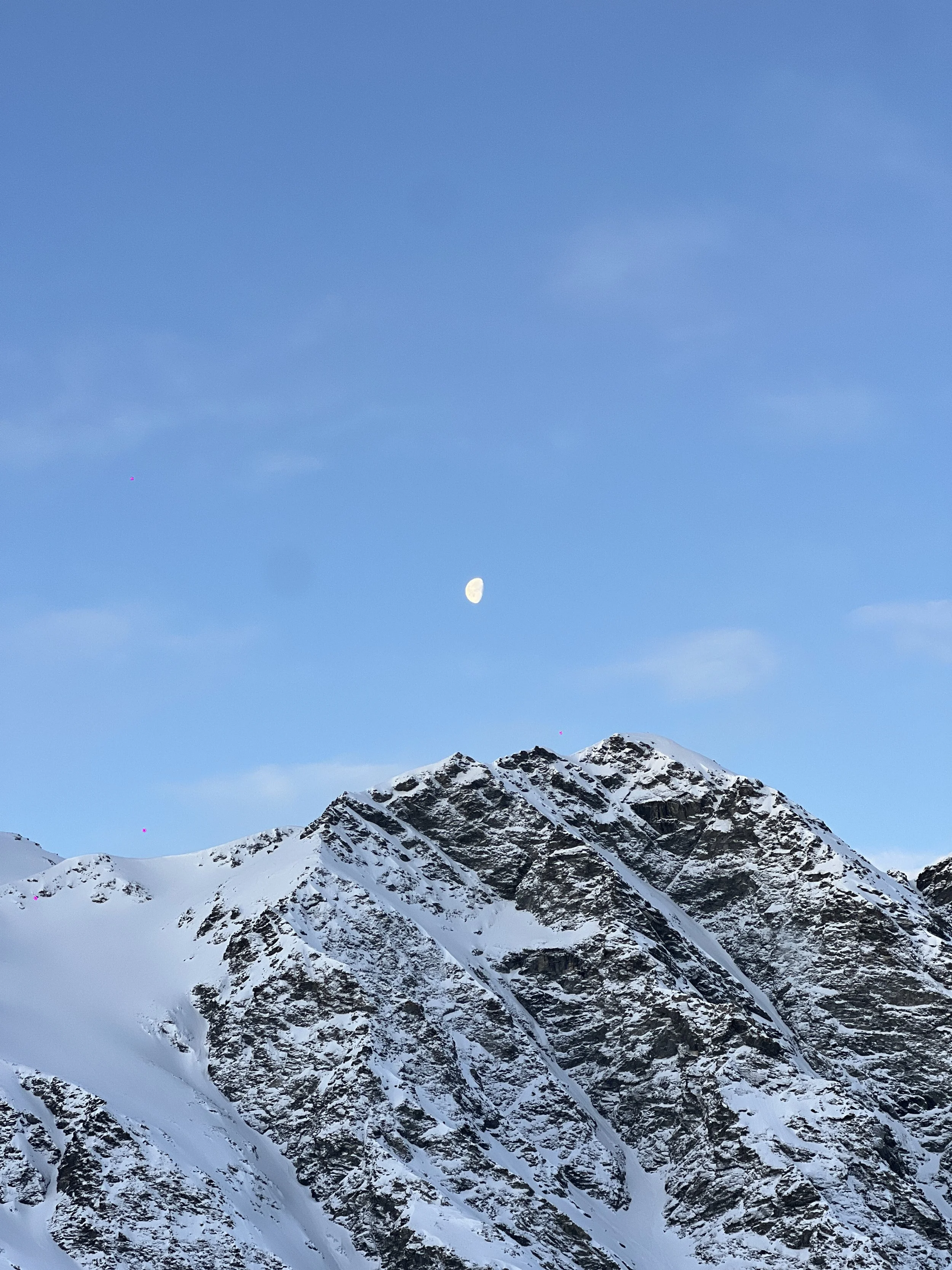 IMG_3953.jpeg