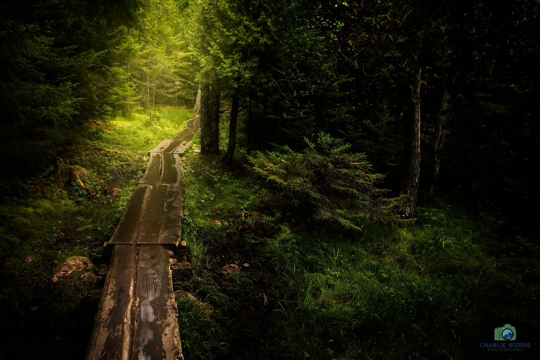 This image I created with depression in mind. Walking through a dark forest with a light at the end of the path.